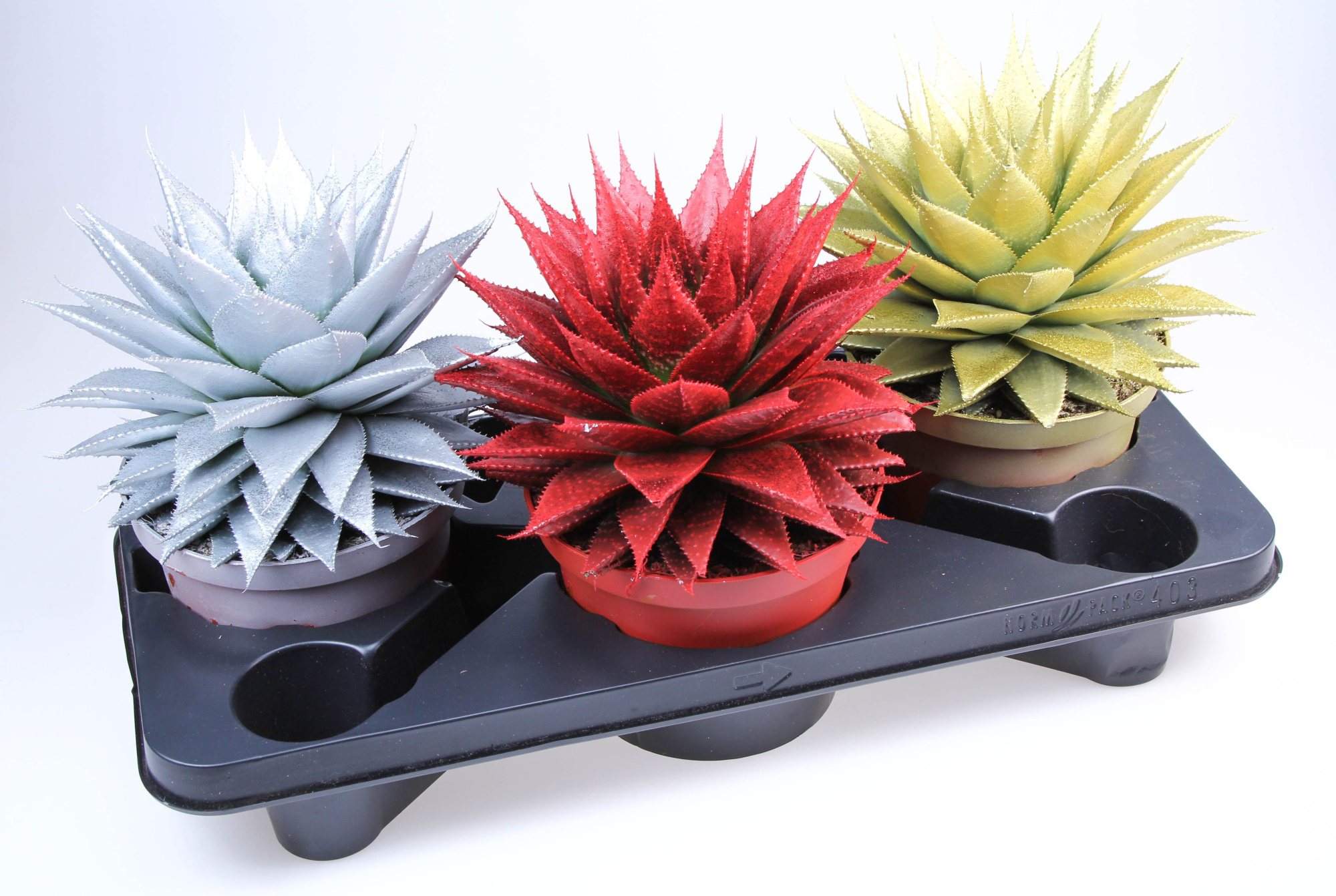 Aloe glittermix, D 17