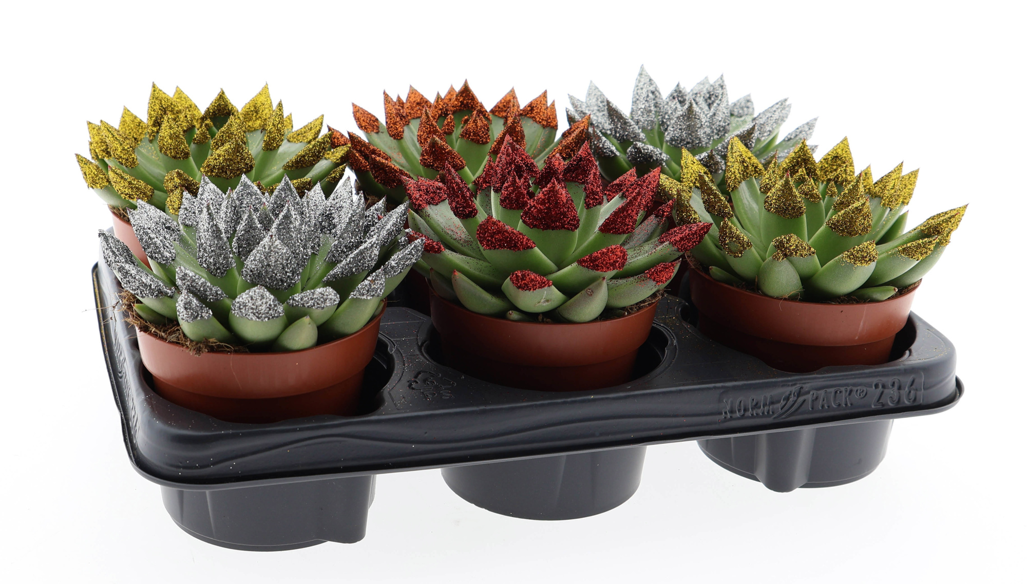 Miranda naturel + glittertip, D 12