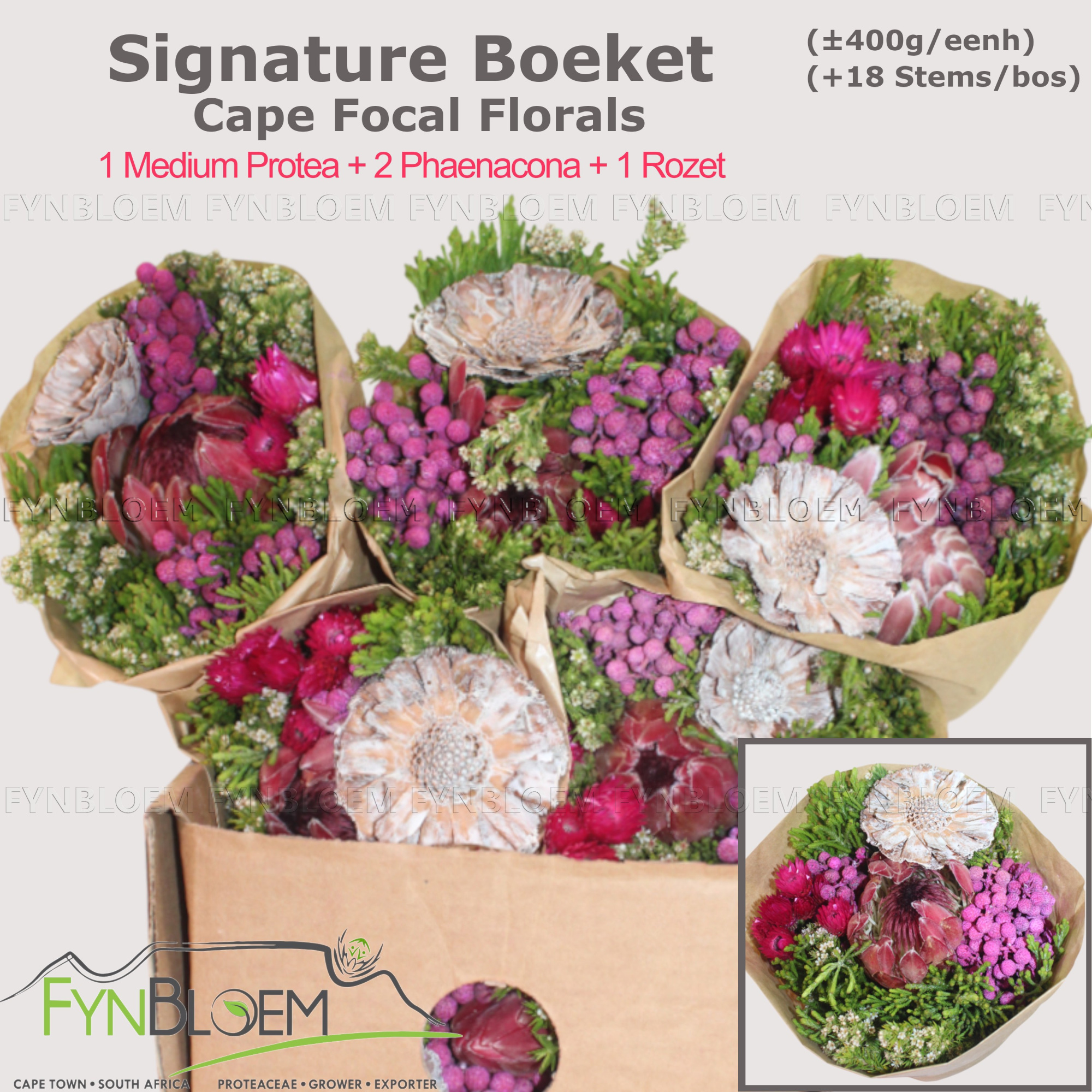 Протея Овериг за пучок 40, пуч.