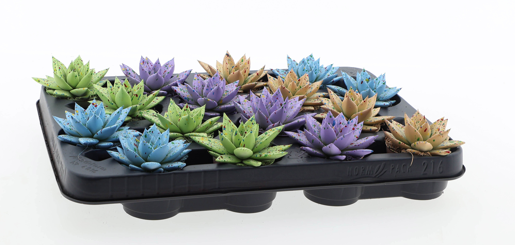 Easter sprinkle mix, D 6