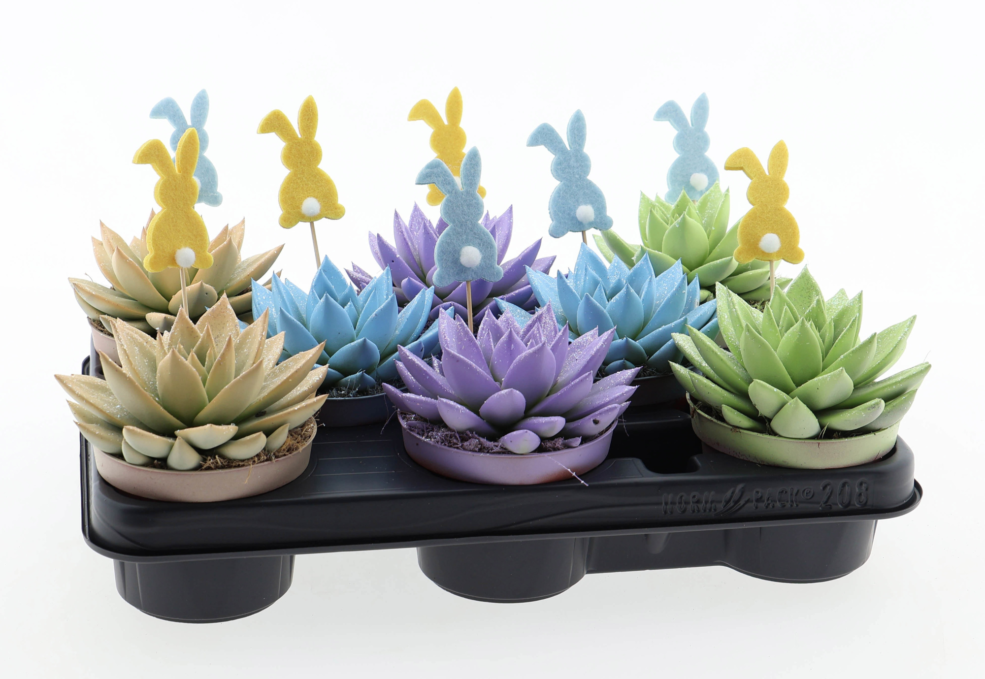 Miranda pastel glittermix + bunny, D 10,5