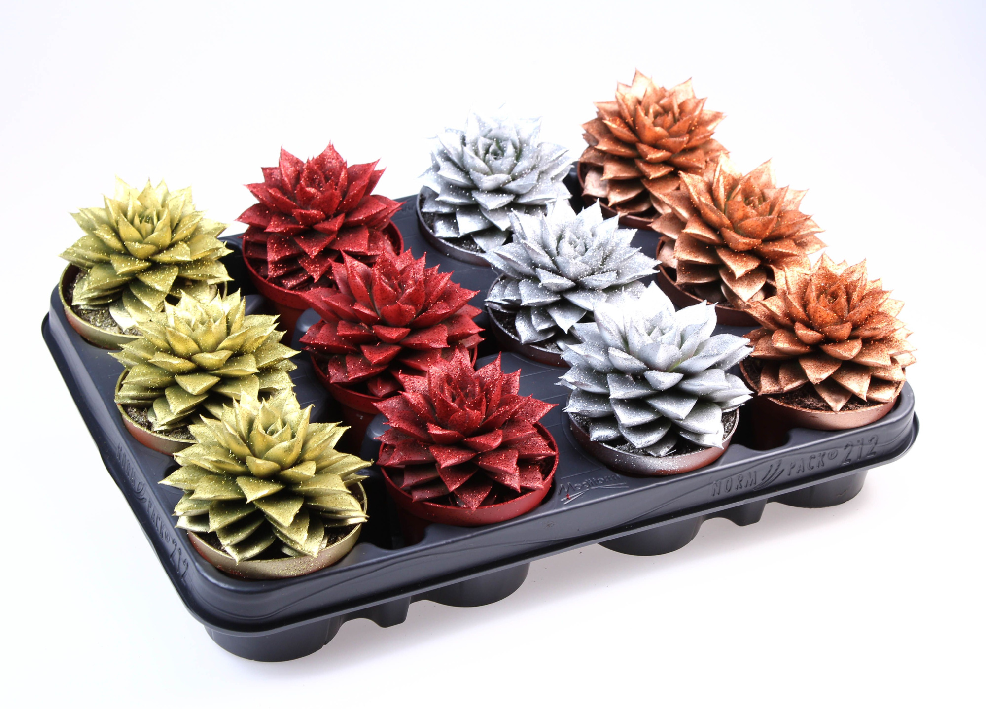 Purper glitter mix + bio glitter, D 8,5