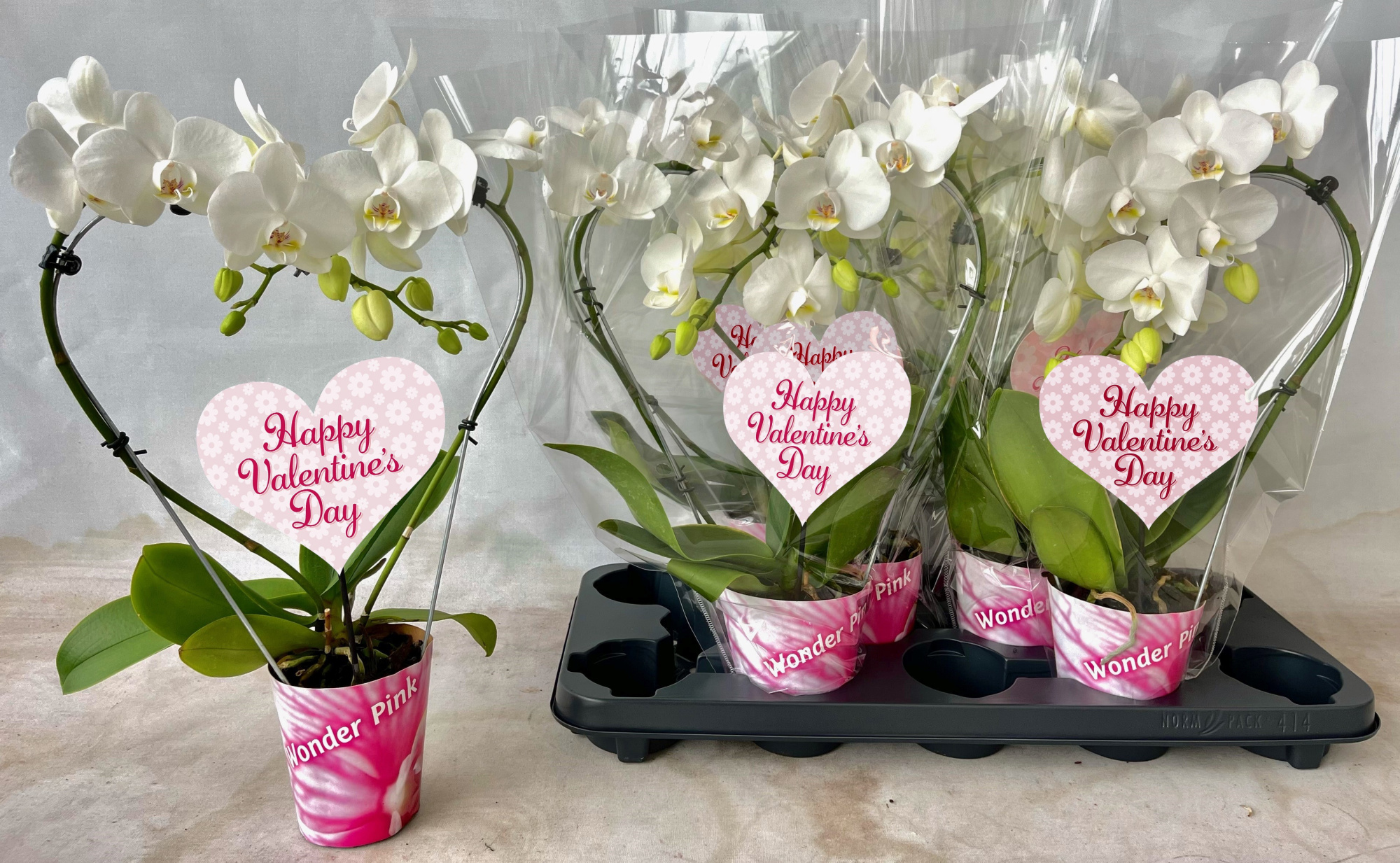 hart 9cm wit valentijn, D 9