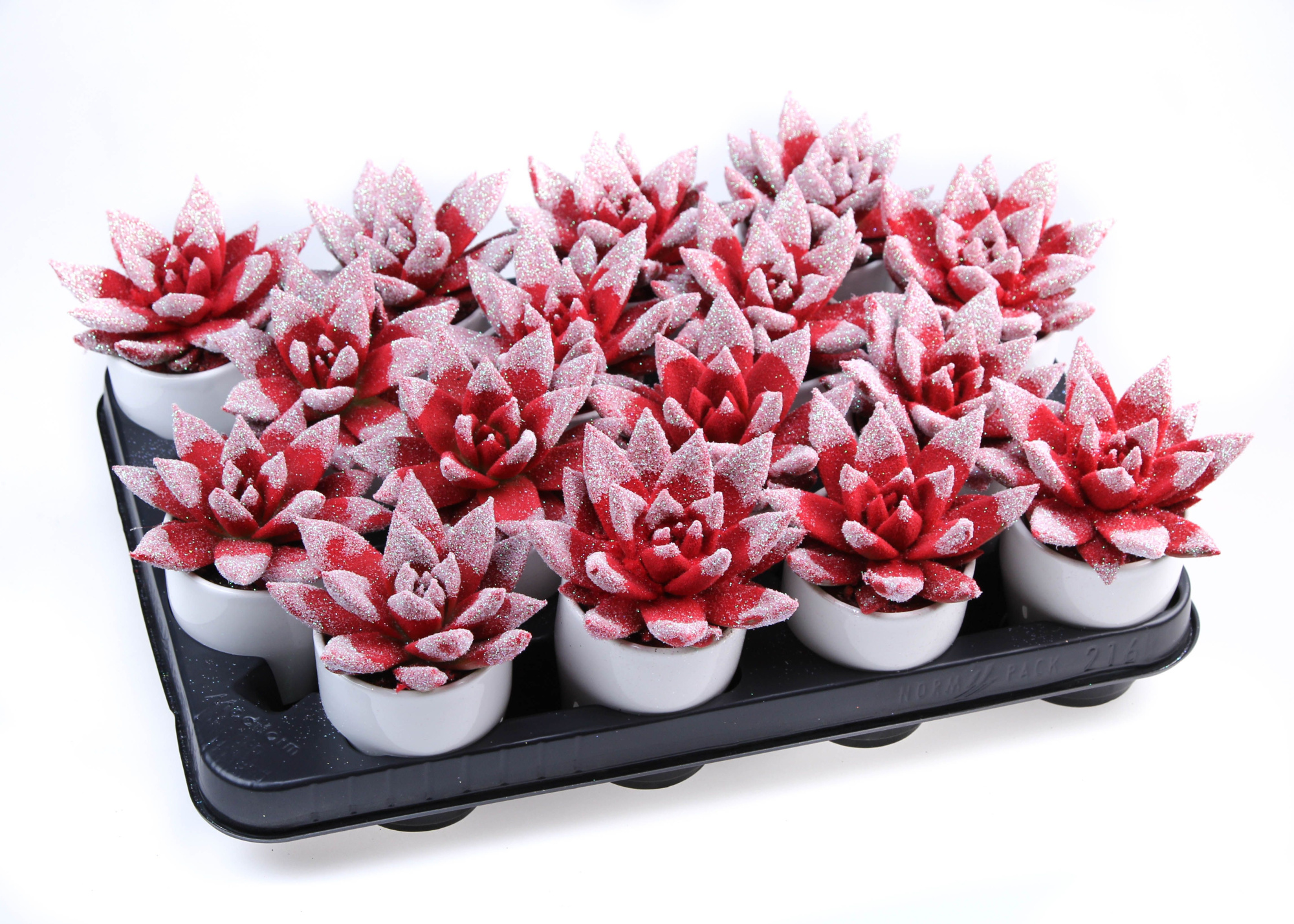 Velvet glittertips White + pot, D 6,5