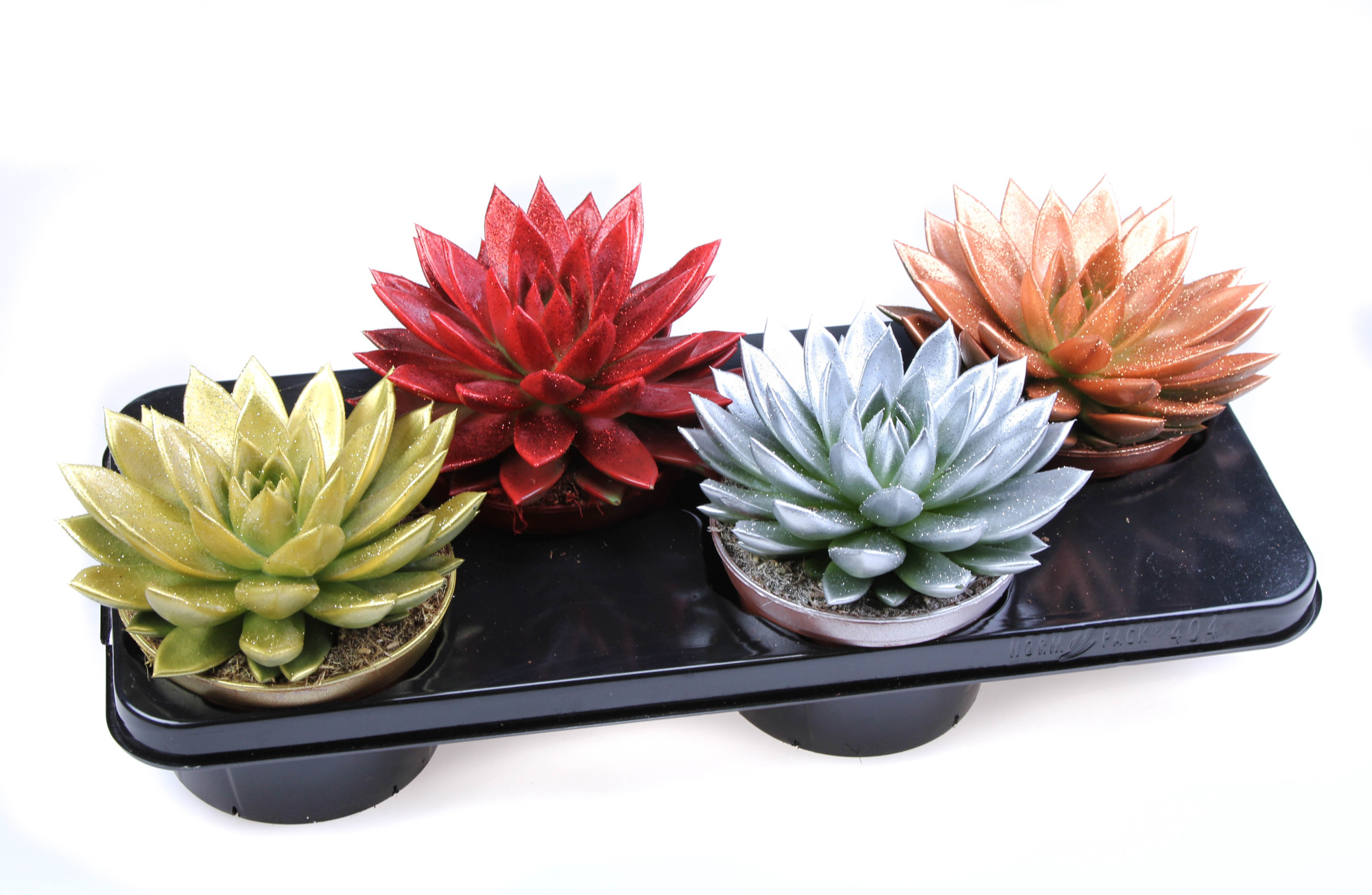 Miranda glitter mix + bio glitter, D 15