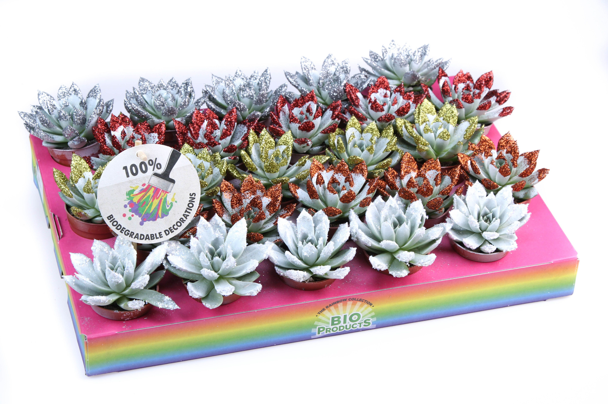 Bio miranda wit + glittertips, D 5,5