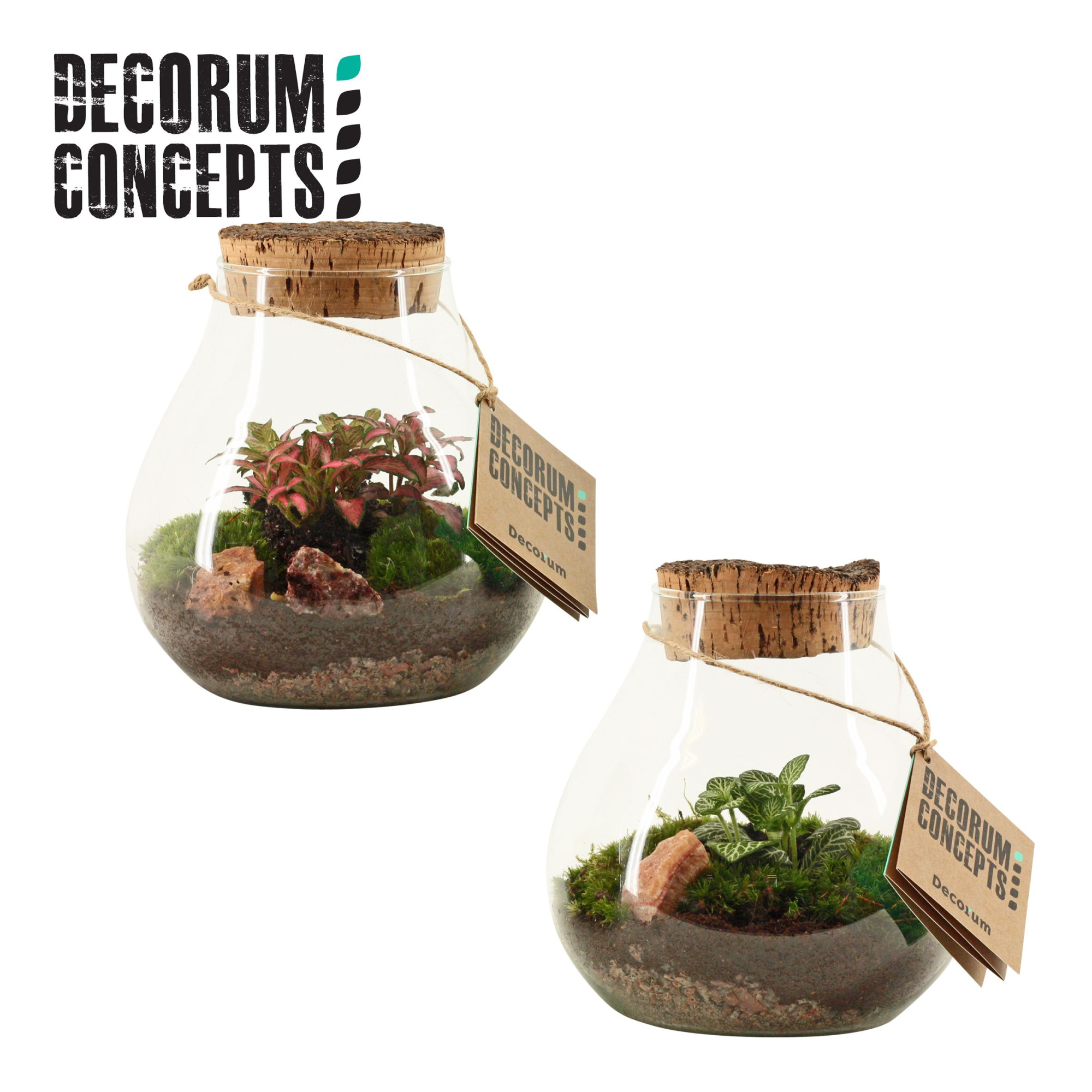 Terrarium Halley (Decorum concepts), D 16