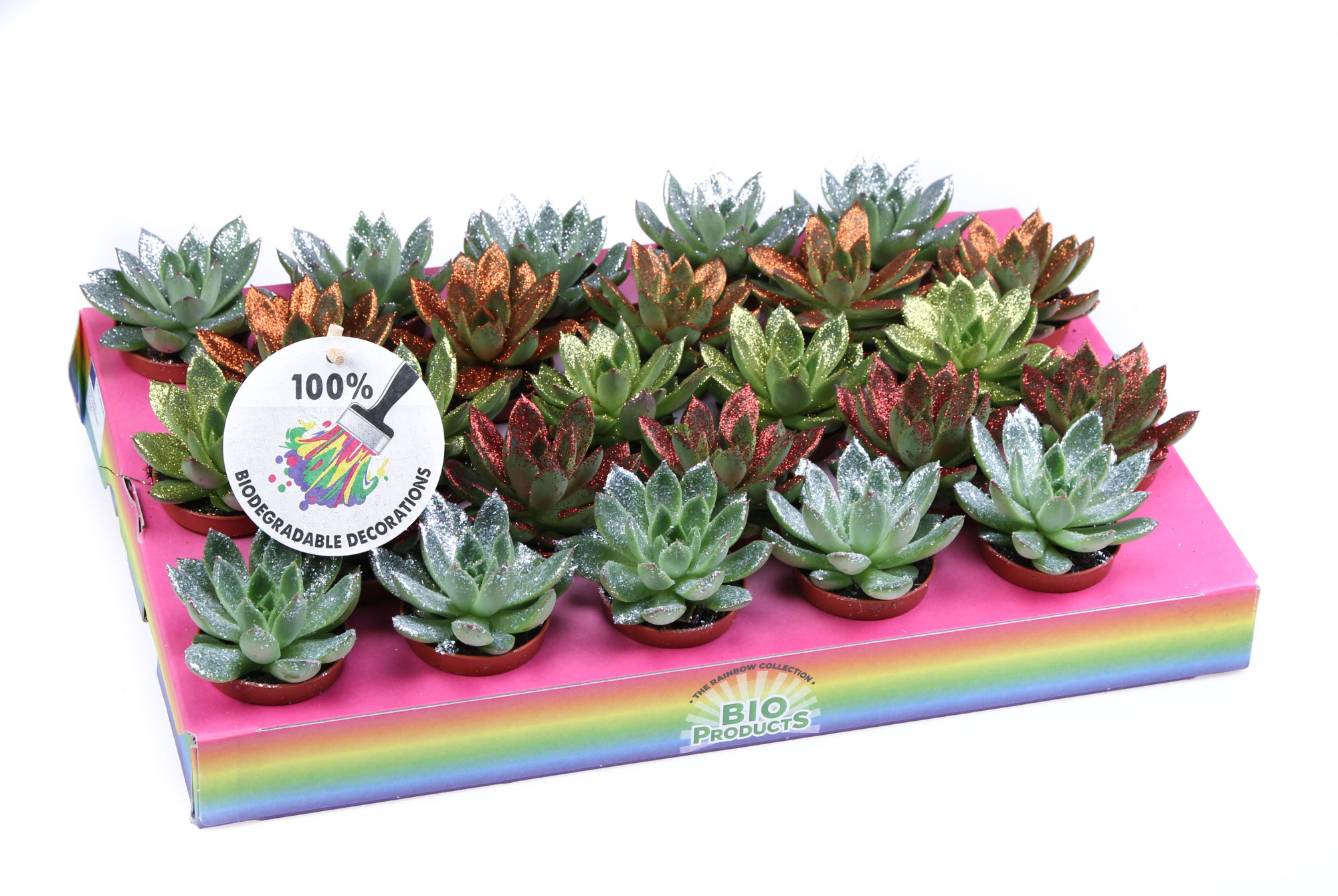 Bio miranda naturel glittermix, D 5,5