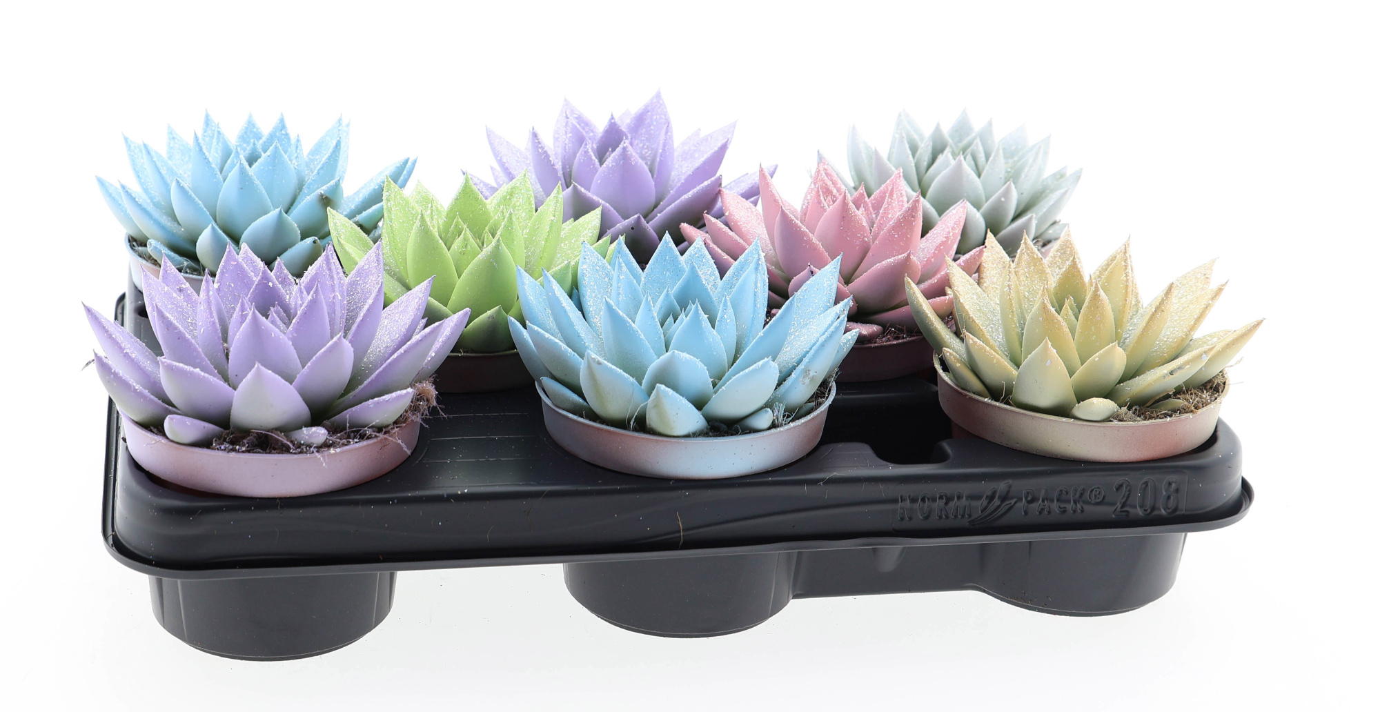 Miranda pastel glittermix, D 10,5