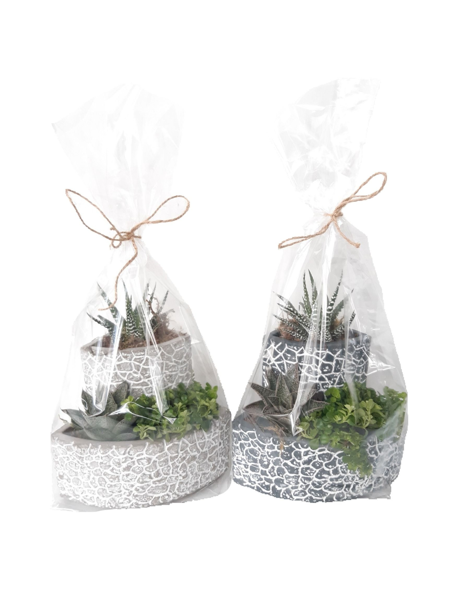 Puzzle Pots XL + S Giftpack Grey/White Mix, D 17