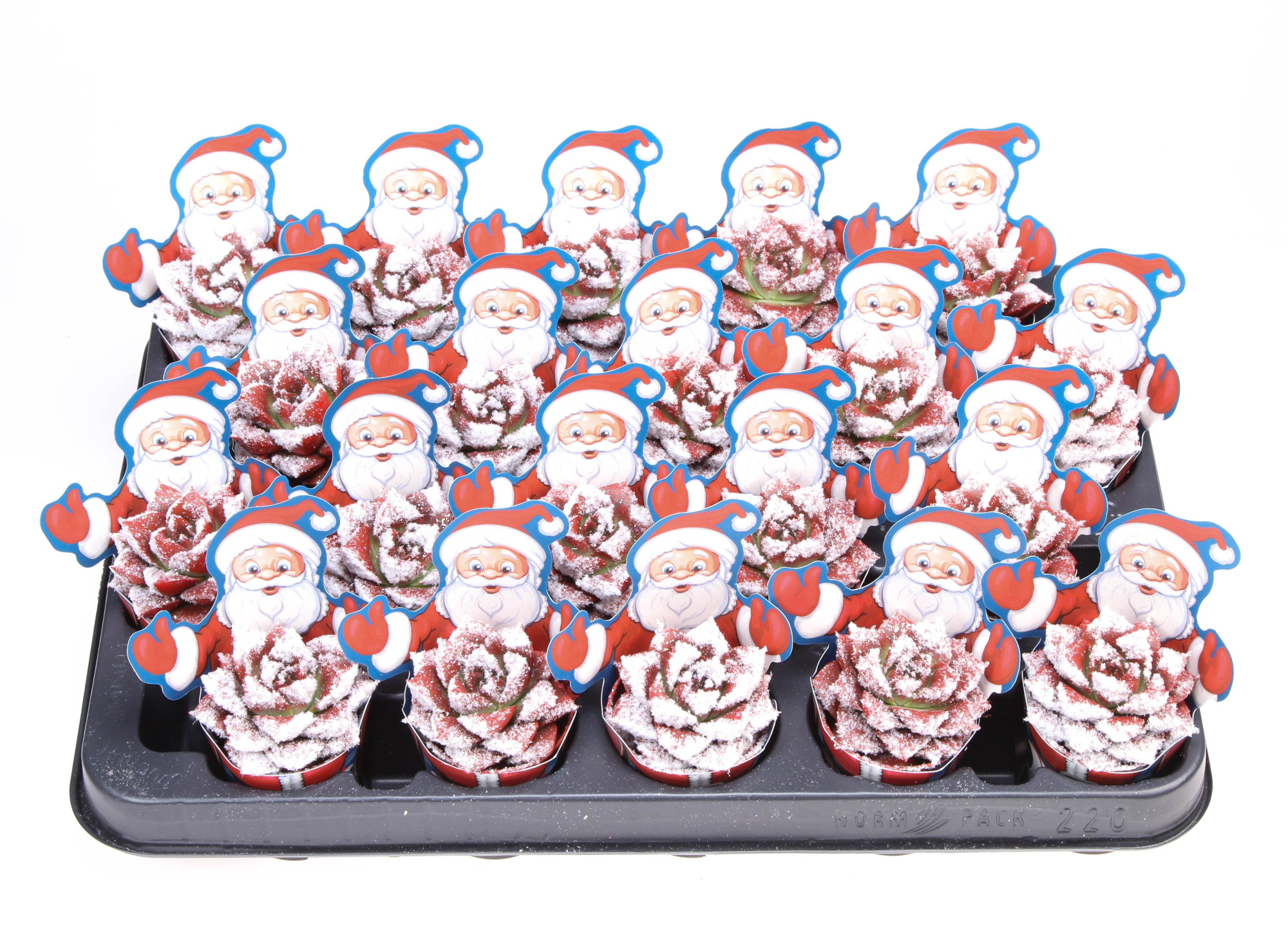 Potcover santaclaus purper snowy + bio snow, D 5,5