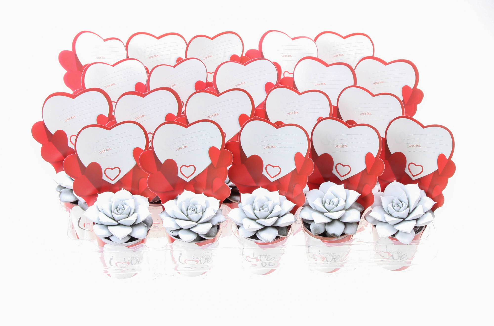 Potcover little love purper wit, D 5,5