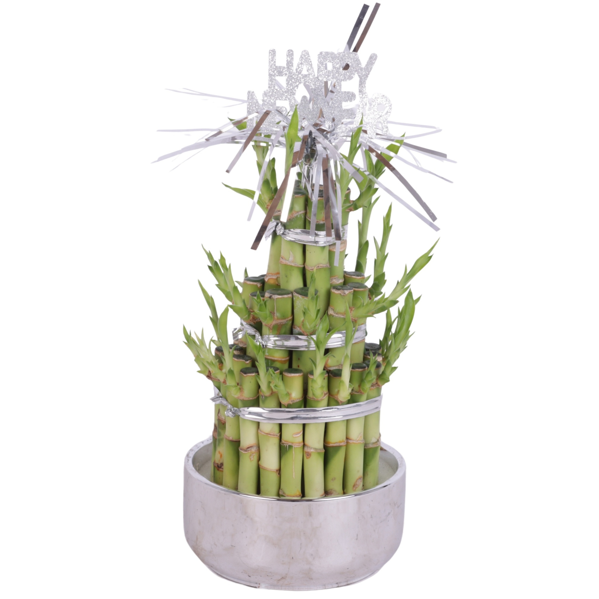 Lucky Bamboo Round 3Big in Ø12cm Ceramic Silver, D 12