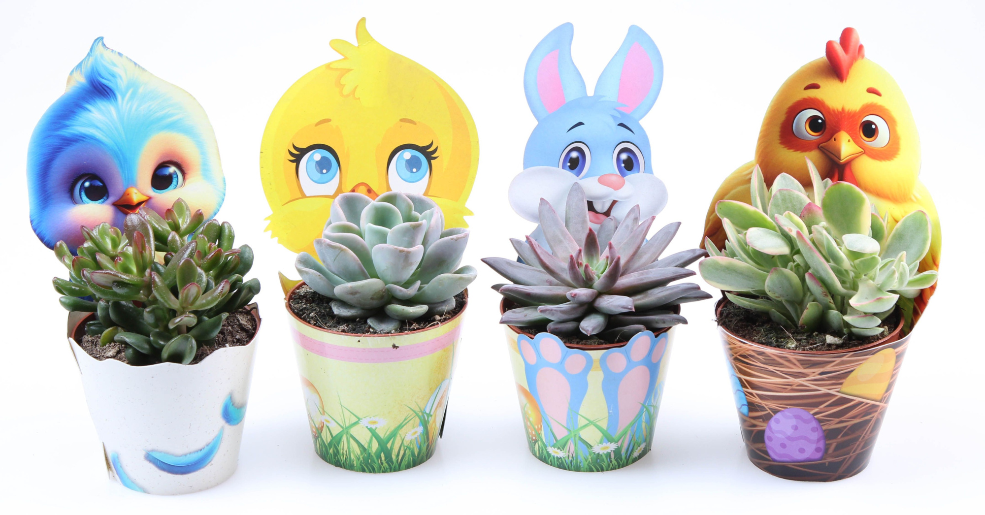 Potcover Paasmix succulent, D 8,5