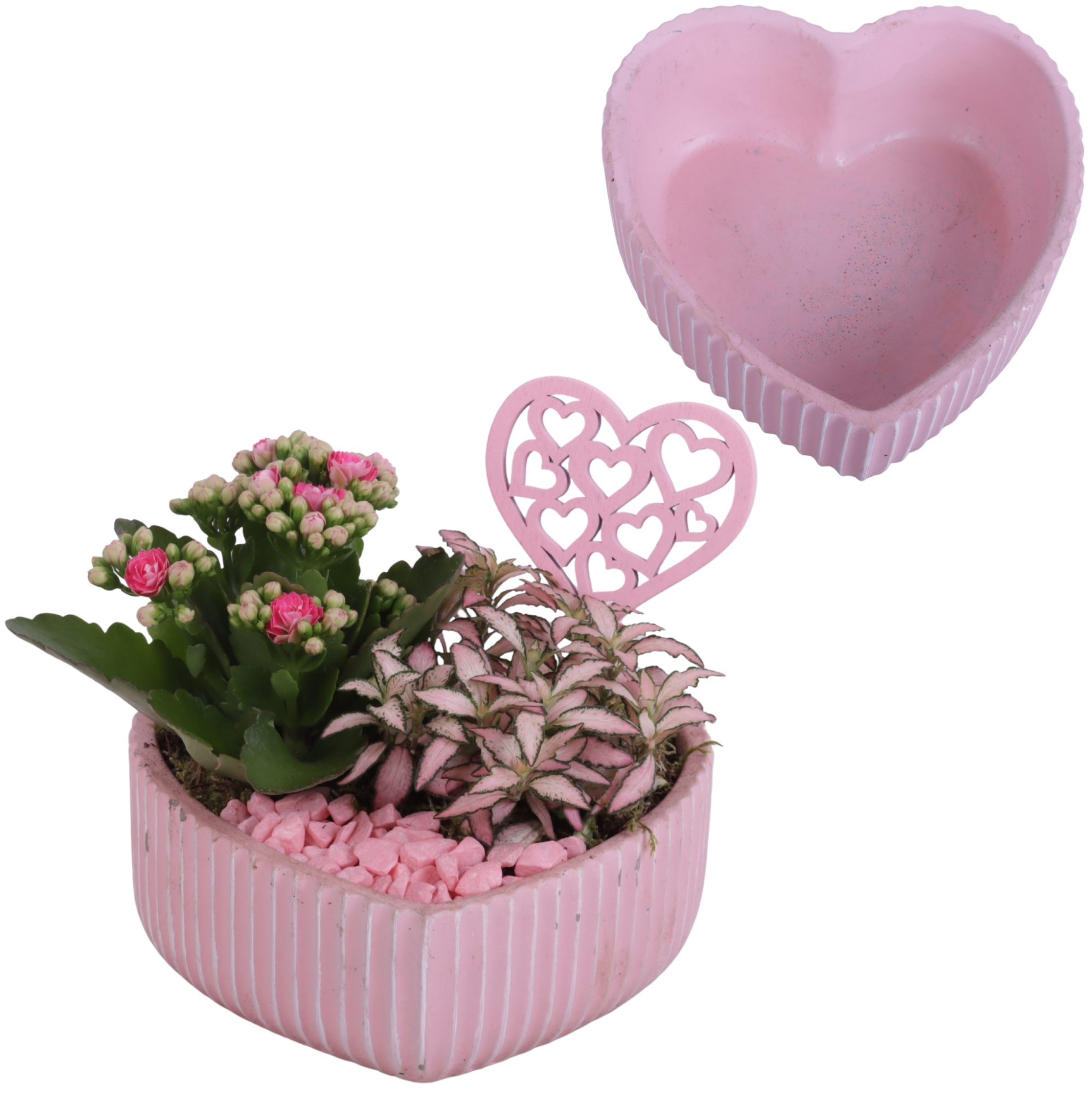 Mothersday Arr. Indoor Ceramic Heart Bowl Ribbles Ø17cm 2PP, D 17