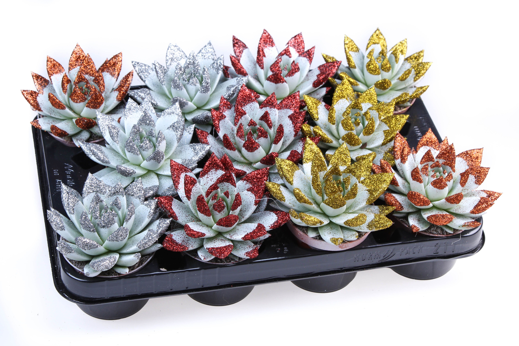 Miranda wit + glittertips, D 8,5