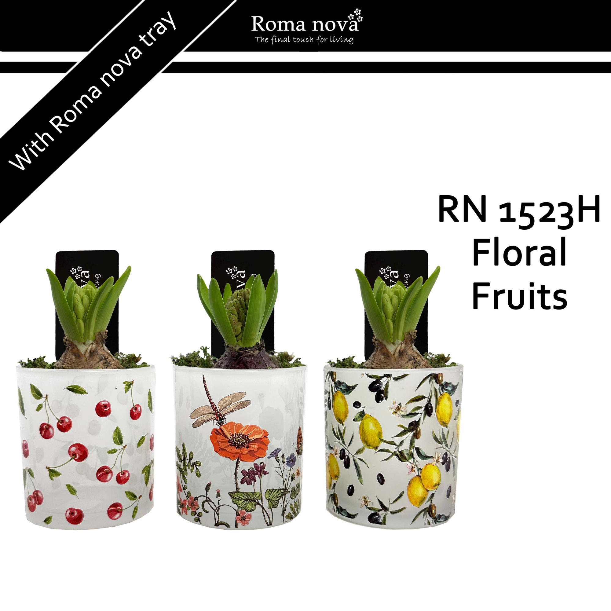 1523H - Floral Fruits (Hyacint), D 9