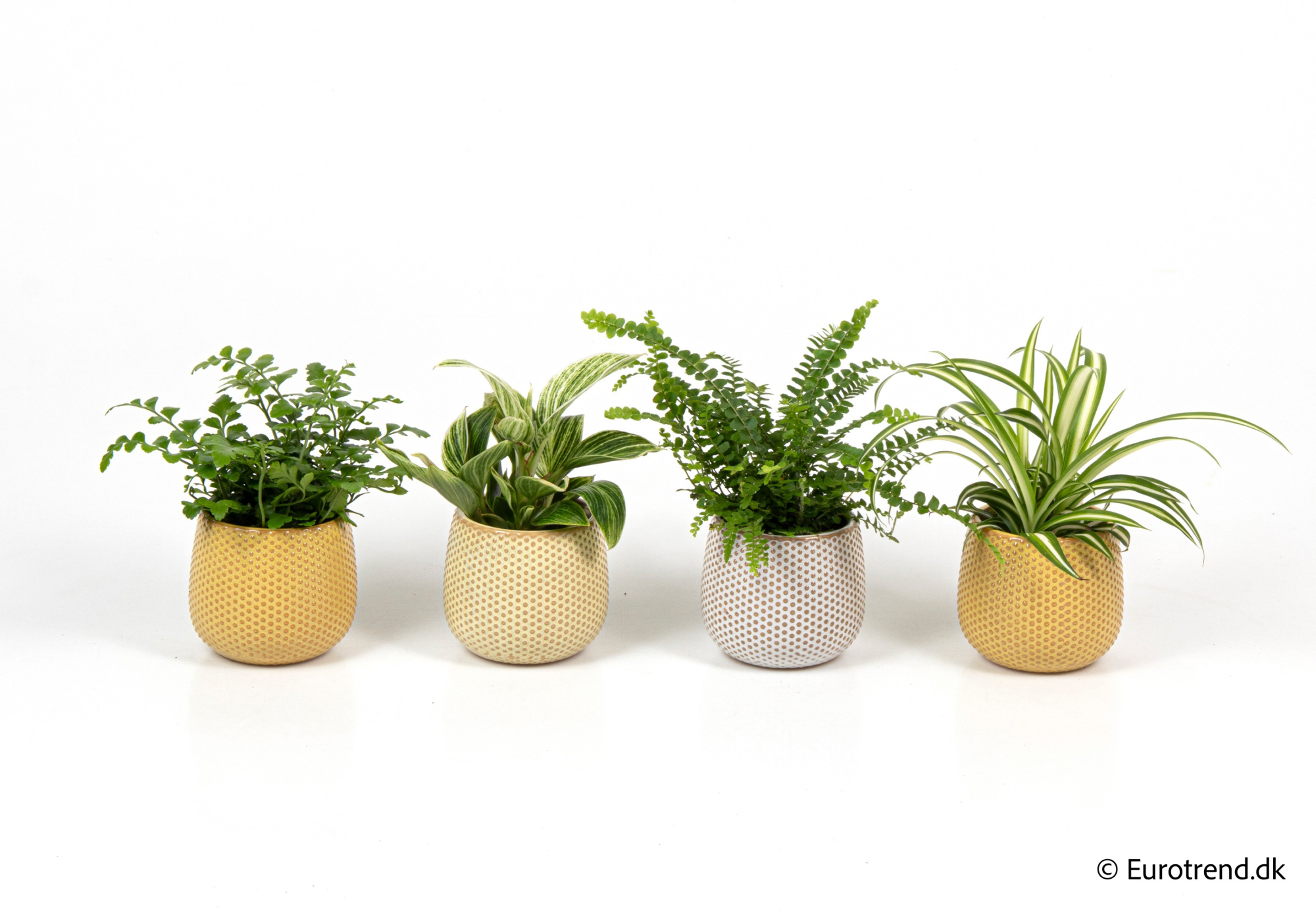 Green mix in Easter ceramic 2026, D 6