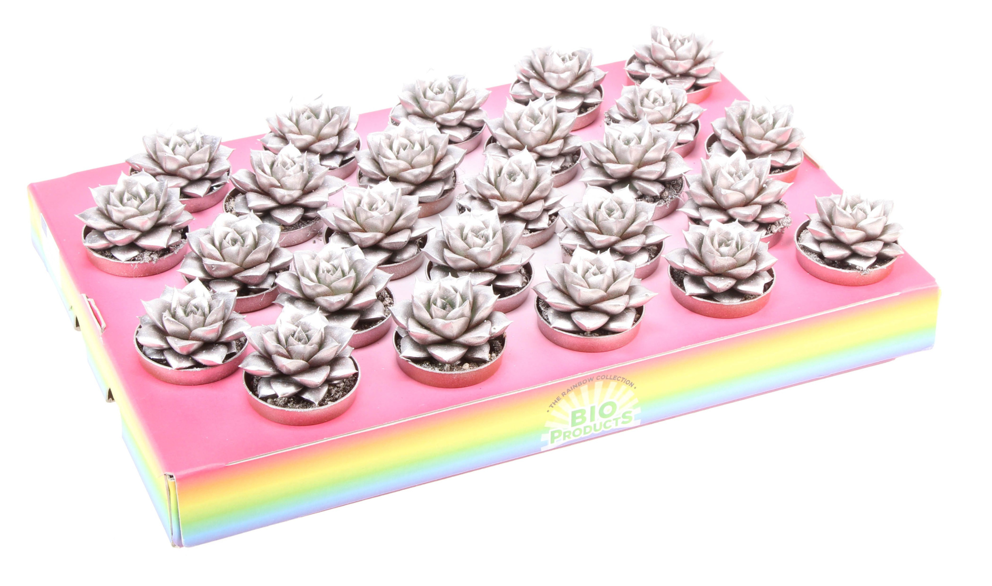 Bio purper champagne glitter, D 5,5