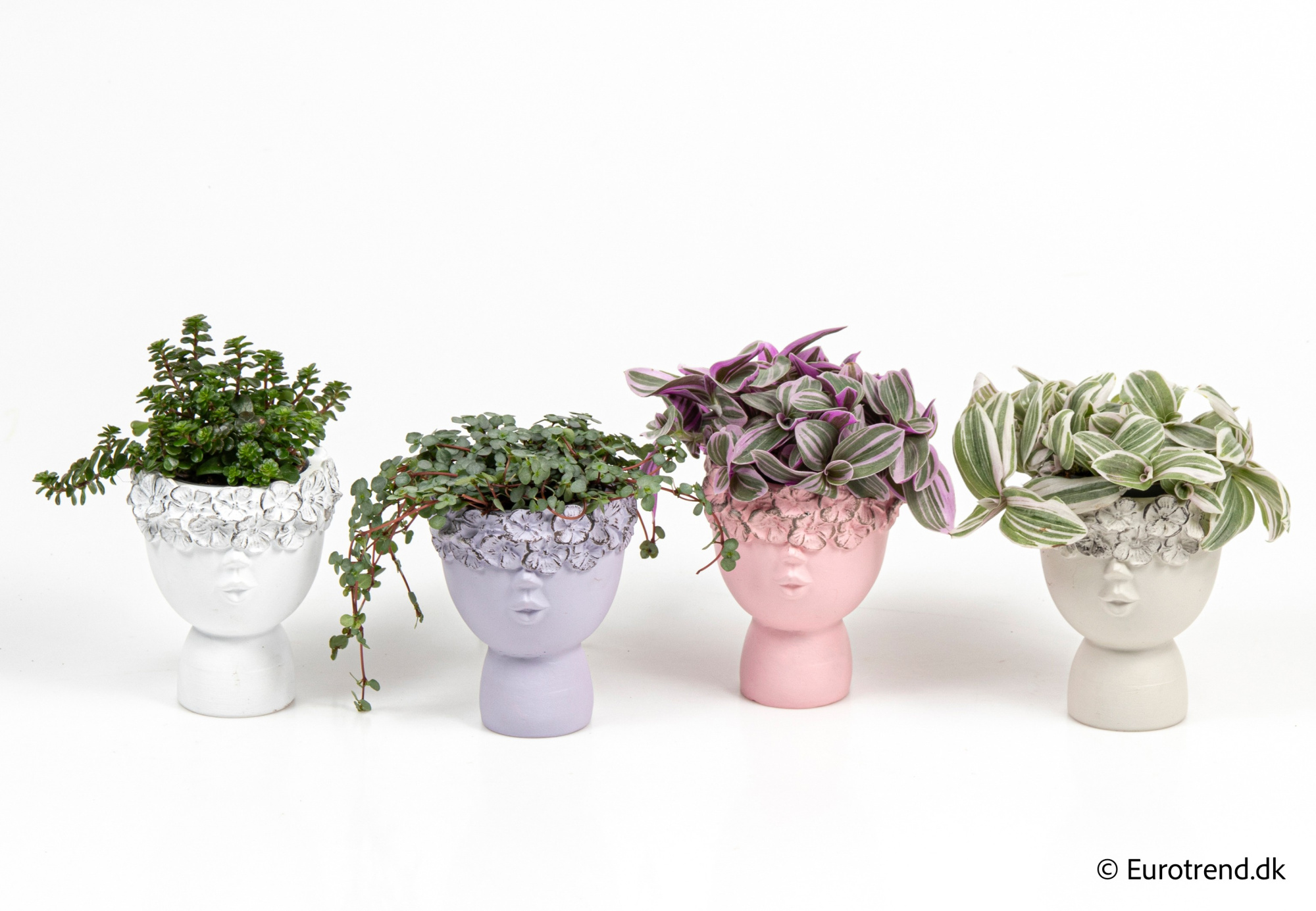 Green mix in Valentine ceramic 2026, D 6