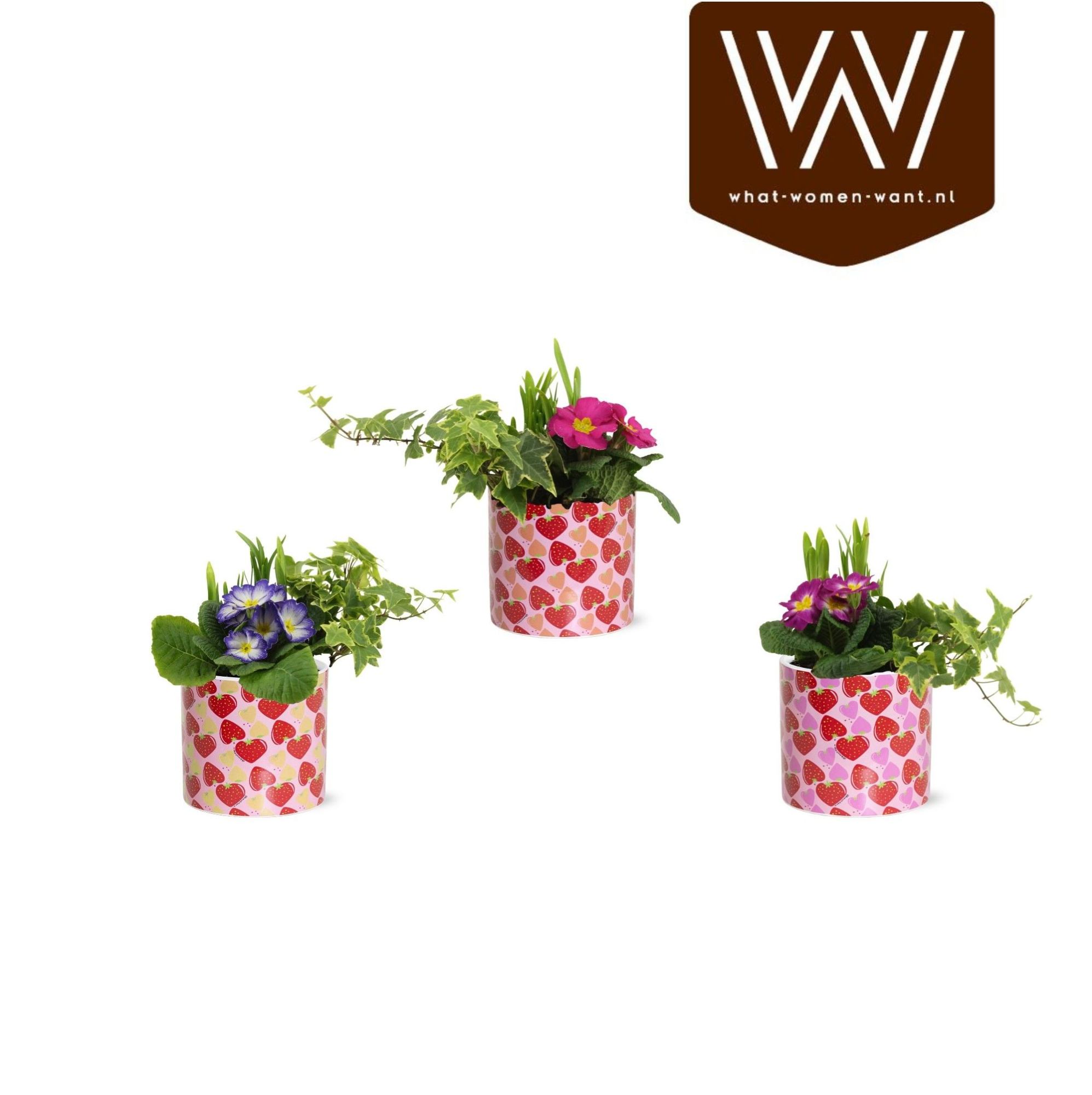 Collectie 'Spicey Blend' - Arrangement in Lonneke, D 13