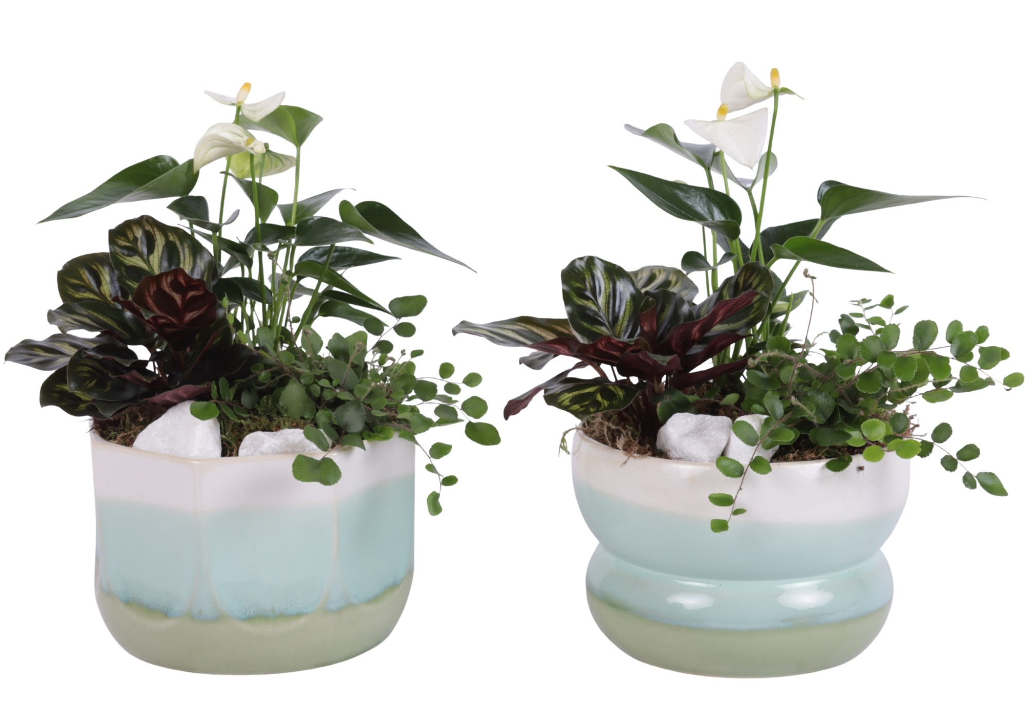 Yearround Arr. Indoor Ceramic Fresh Breeze FB675 Ø17cm 3PP, D 17