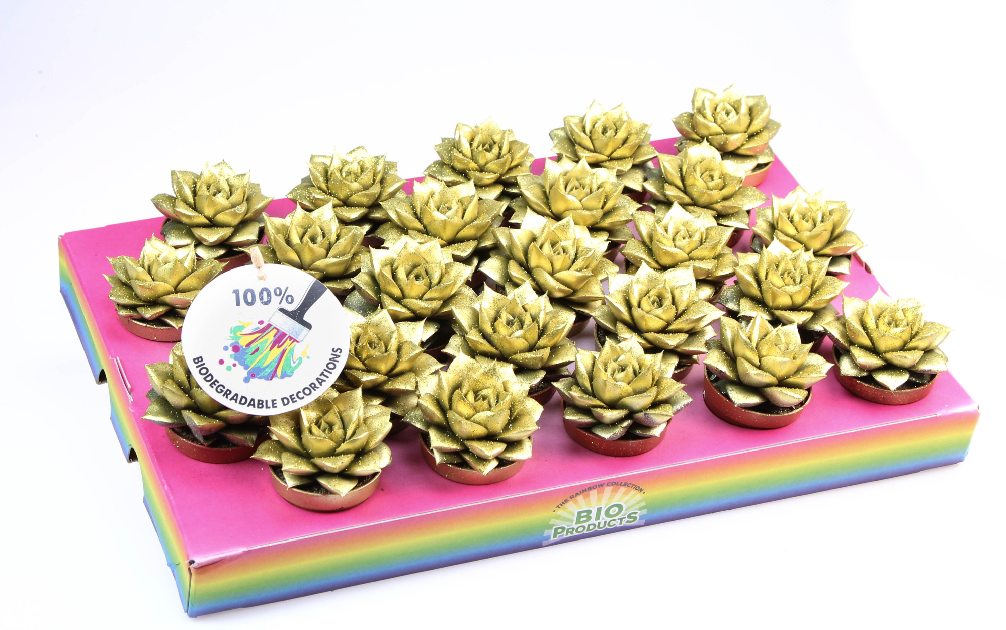 Bio purper gold glitter, D 5,5