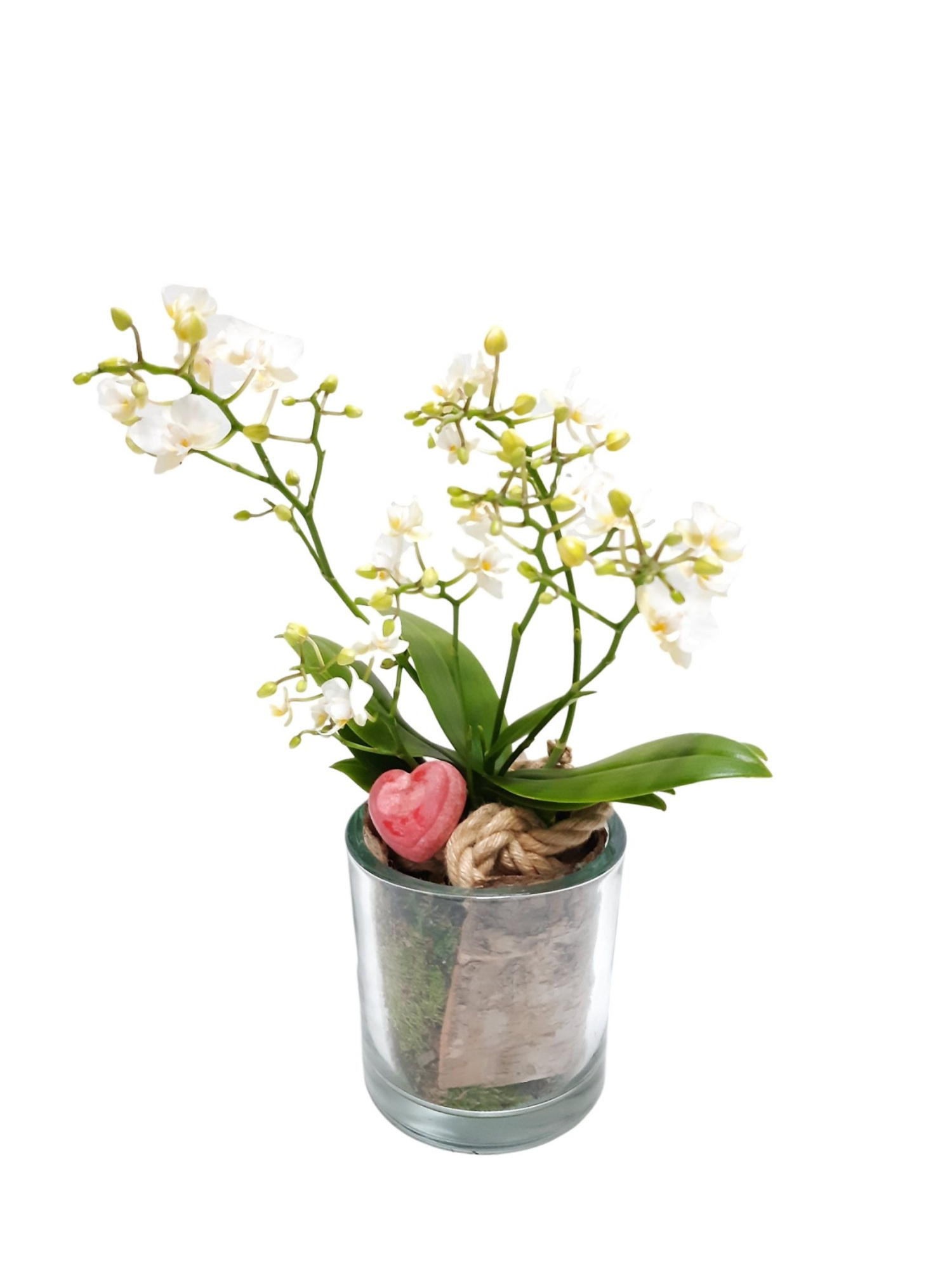 GCI14PWOHRT Heavy Glass 14cm Wild Orchids 4t+ with Aroma Heart, D 14