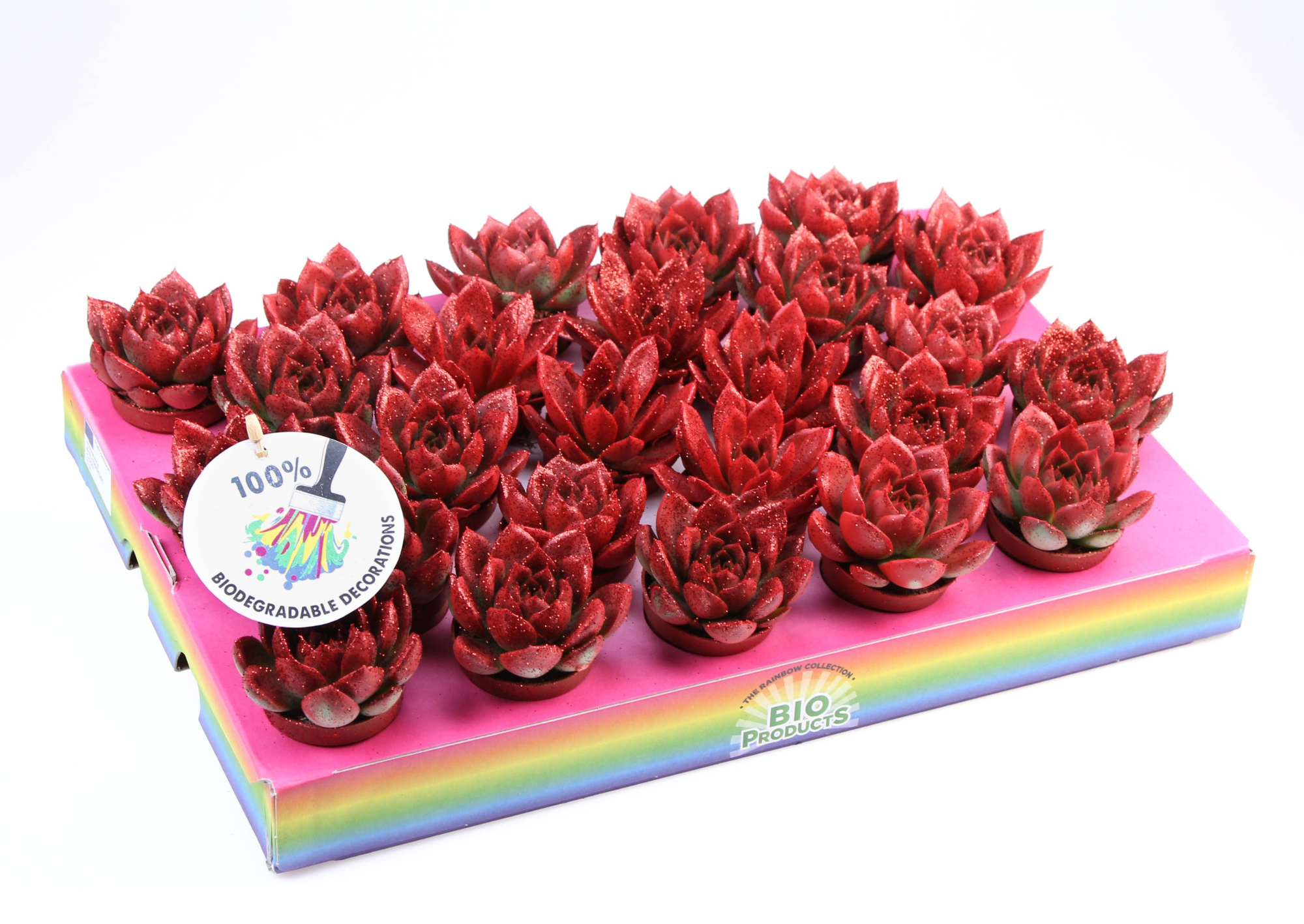 Bio miranda red glitter, D 5,5