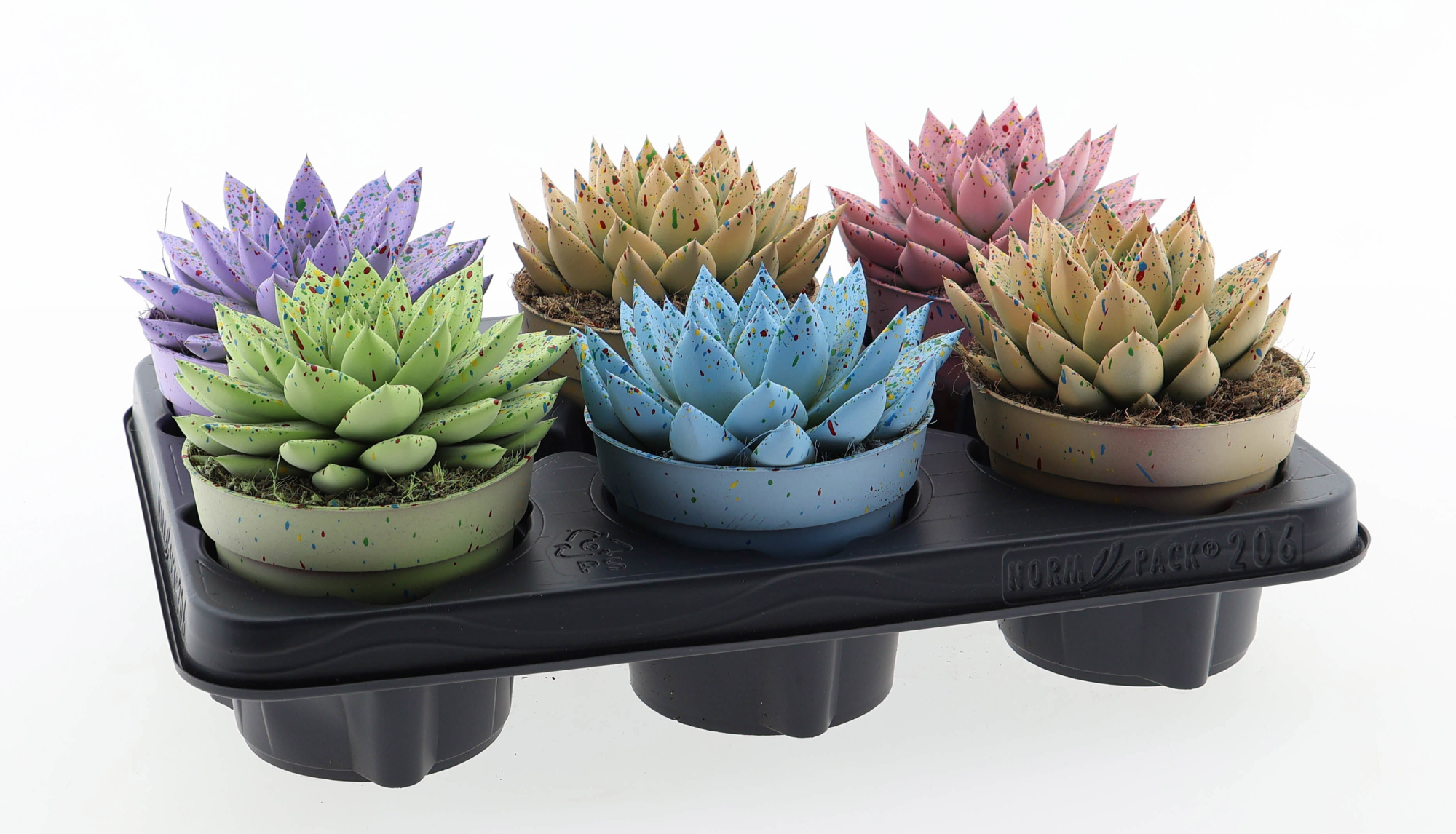 Easter sprinkle mix, D 12