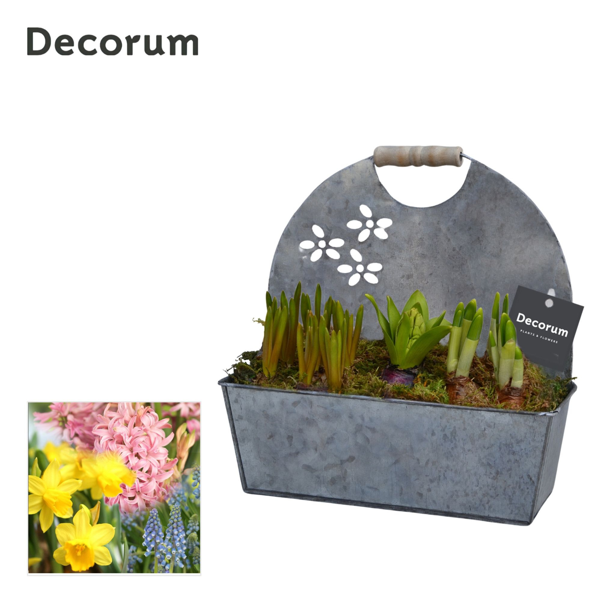 Bollenmix Flower Garden HL14623B, D 25