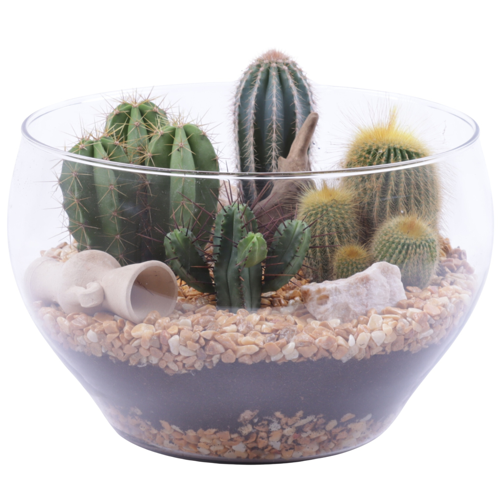 Yearround Arr. Cactus Glass Vase Ø25cm 4PP, D 25