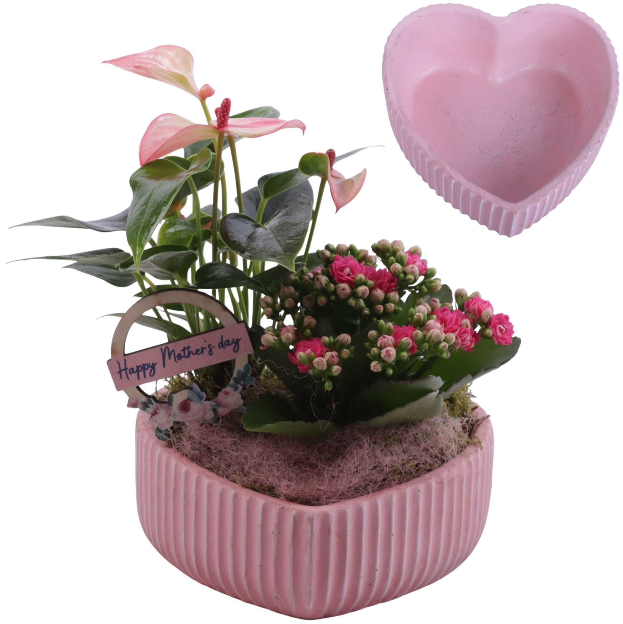 Mothersday Arr. Indoor Ceramic Heart Bowl Ribbles Ø17cm 2PP, D 17