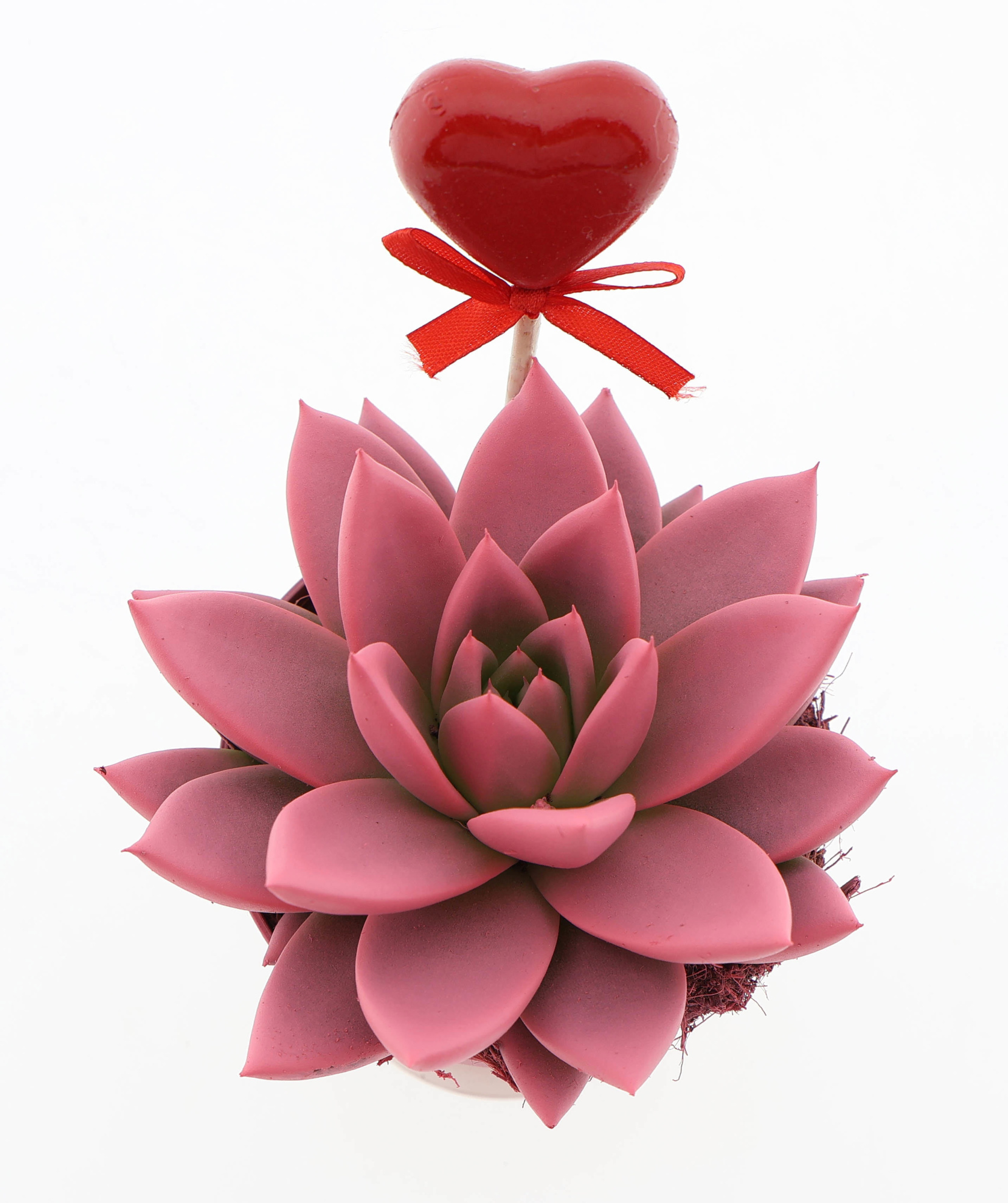 Miranda roze + hartje, D 8,5