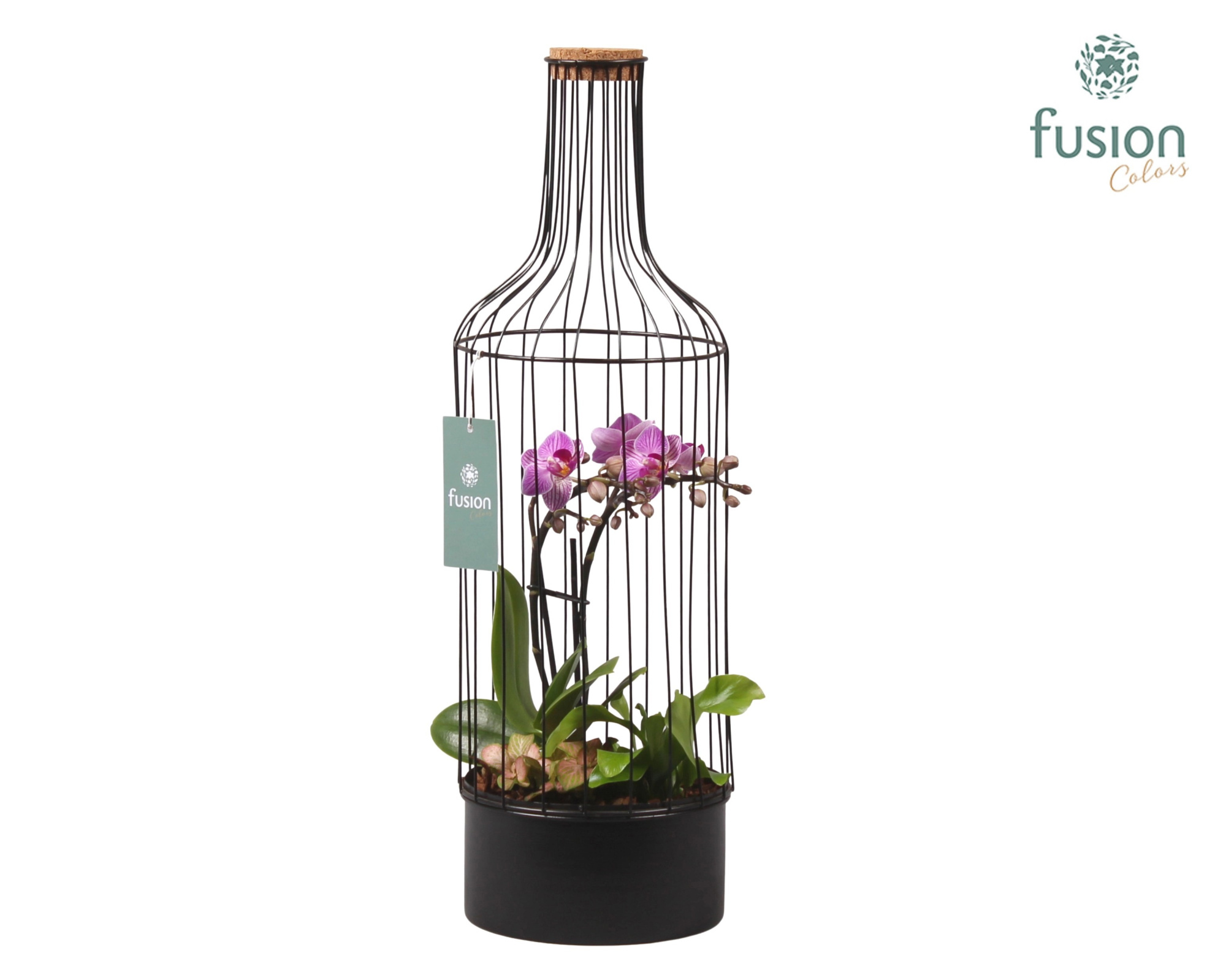 Metaal fles zwart Large met Phalaenopsis Arrangement, D 17