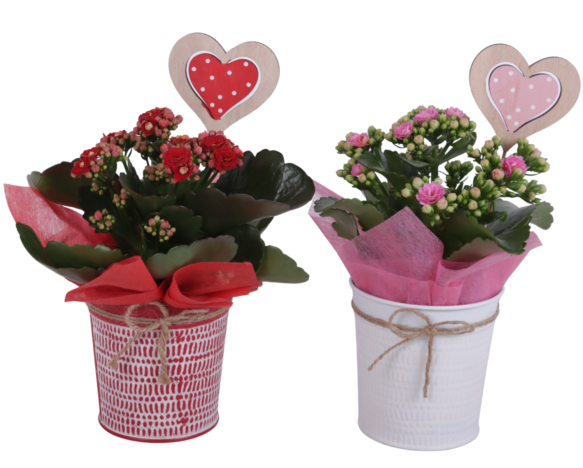 Valentine Arr. Indoor Zinc Pot Round Red/White Ø10cm 1PP, D 10