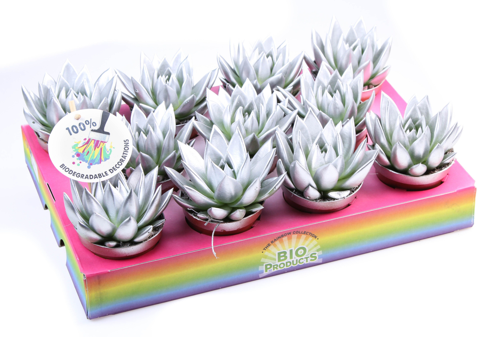 Bio miranda rainbow silver, D 8,5