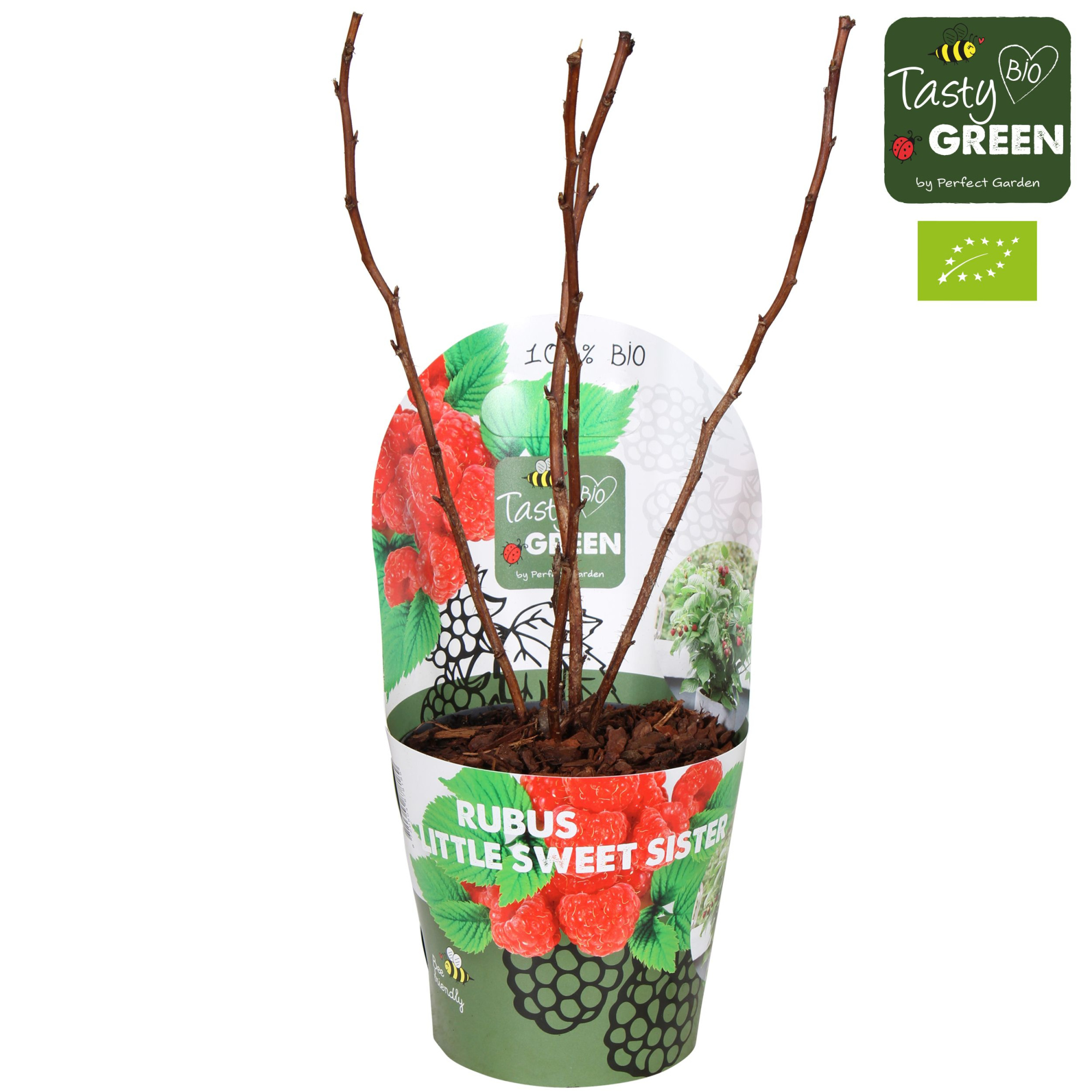 Rubus Low.® Little Sweet Sister® Bio P14, D 14