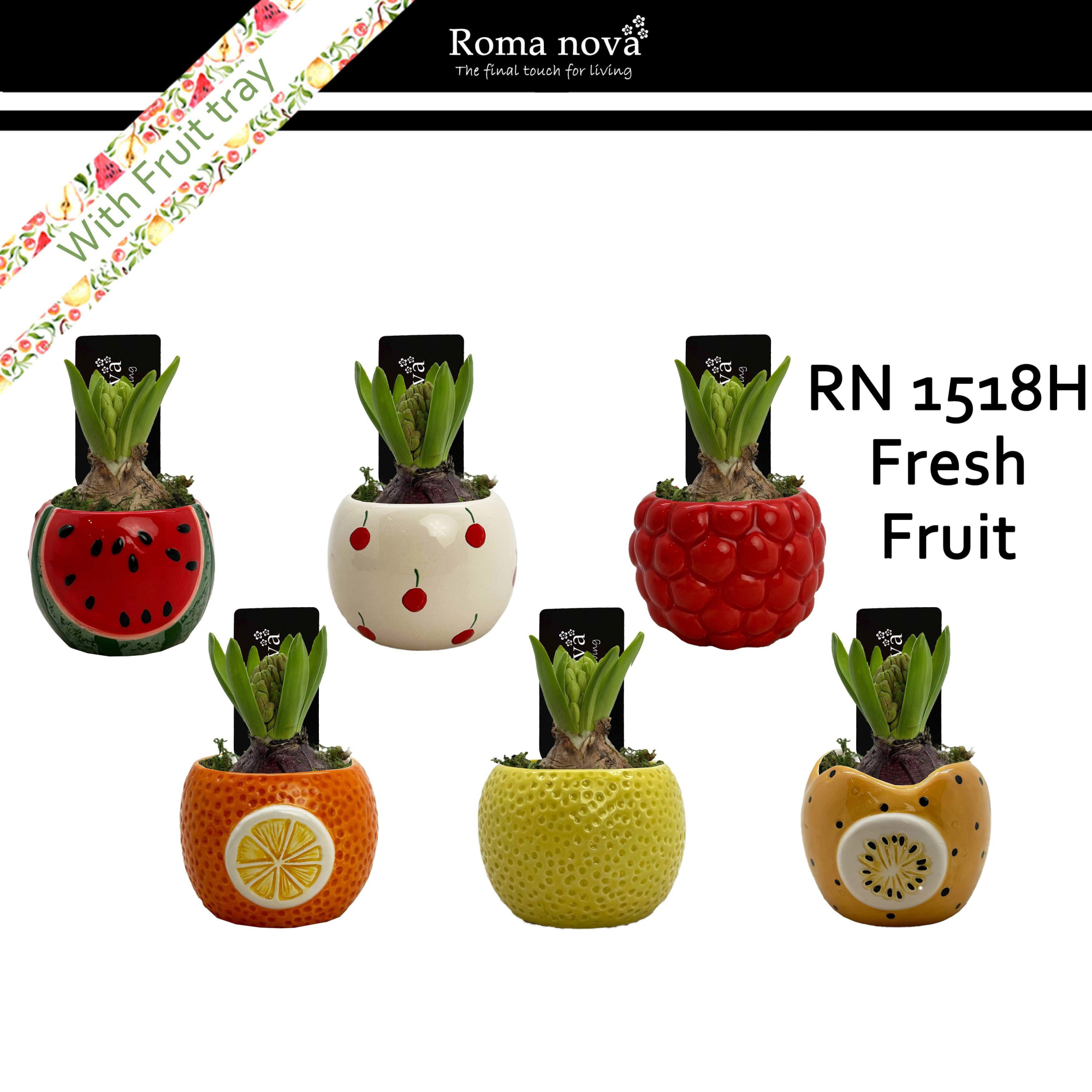 1518H - Fresh Fruit (Hyacint), D 8
