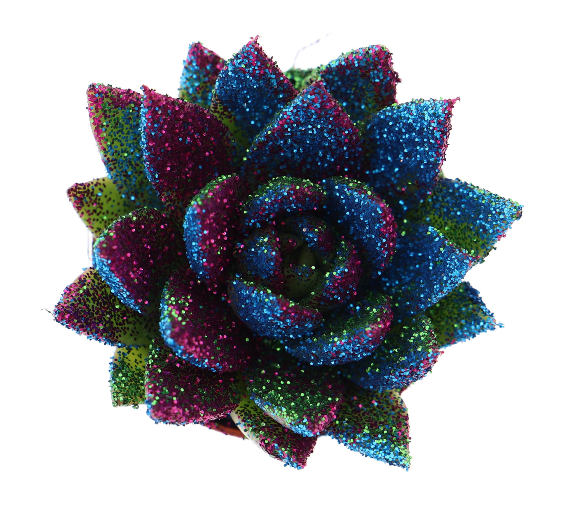 Miranda disco glitter, D 5,5