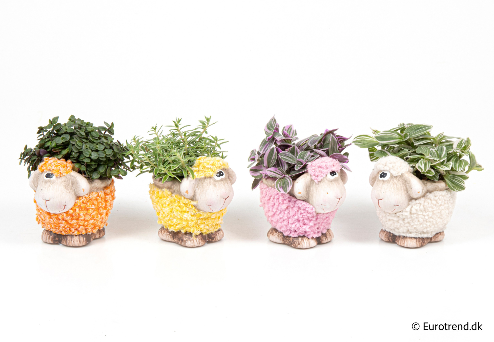 Greenmix in Easter ceramic 2026, D 6