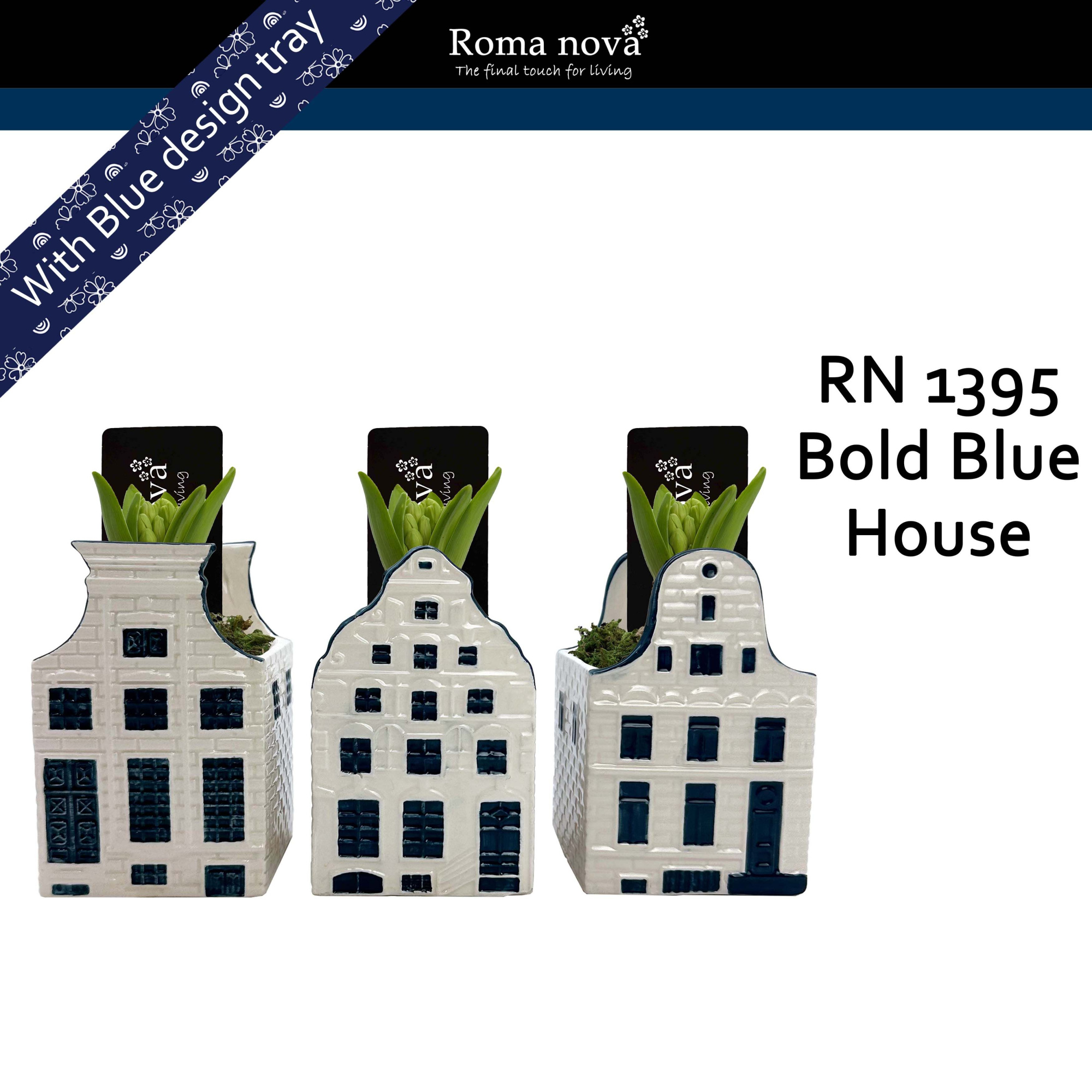 1395 - Bold Blue House (Hyacint), D 9