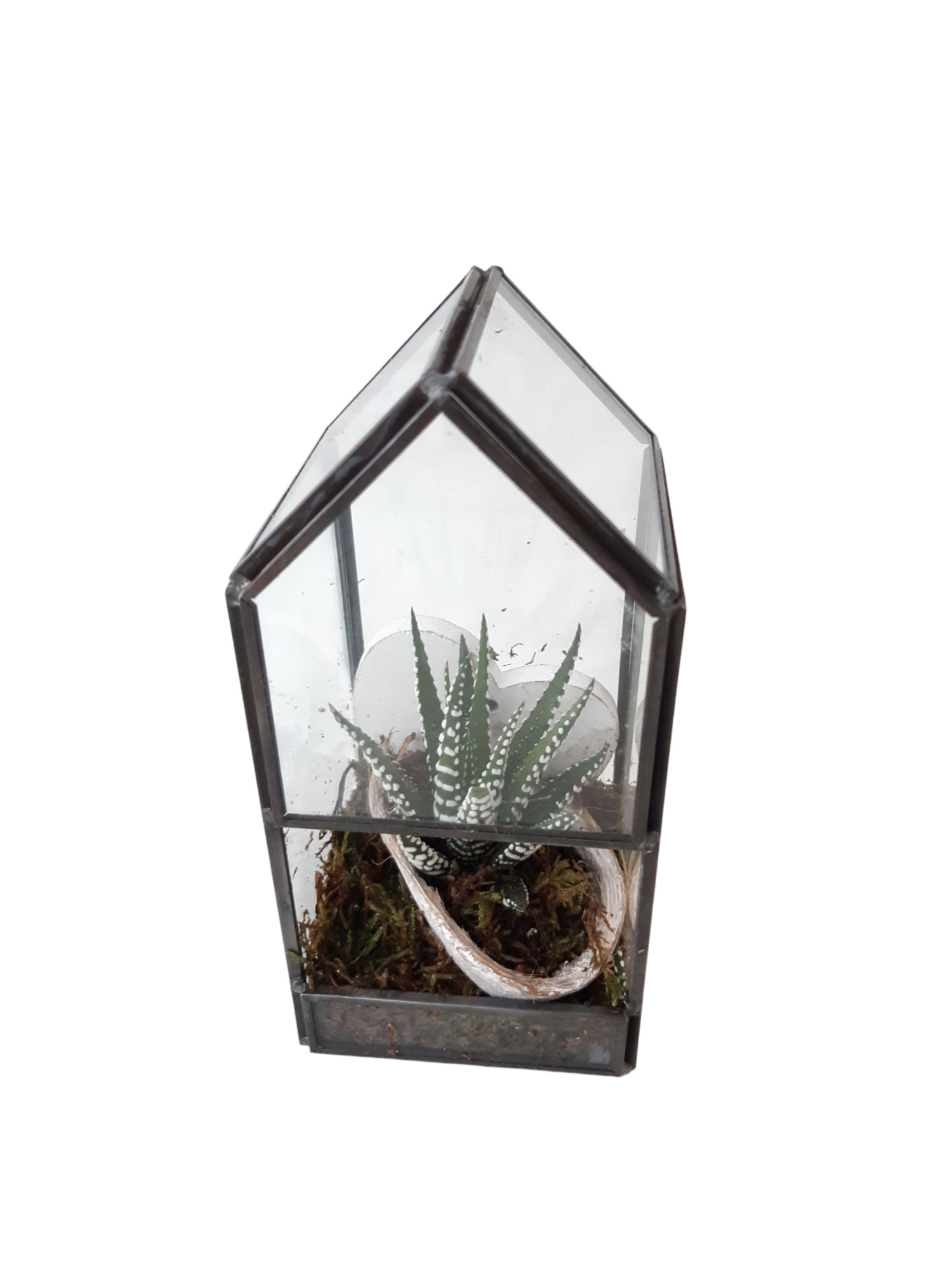 GHK8HRT Glass House Mini Terrarium Heart, D 8