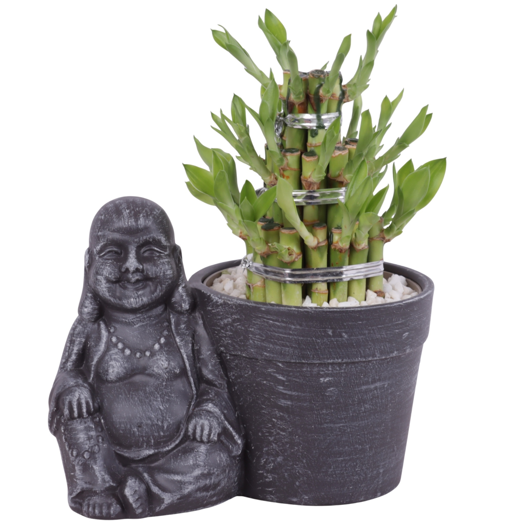 Lucky Bamboo Shape Round 3S in Ceramic Sitting Buddha Ø21cm, D 21