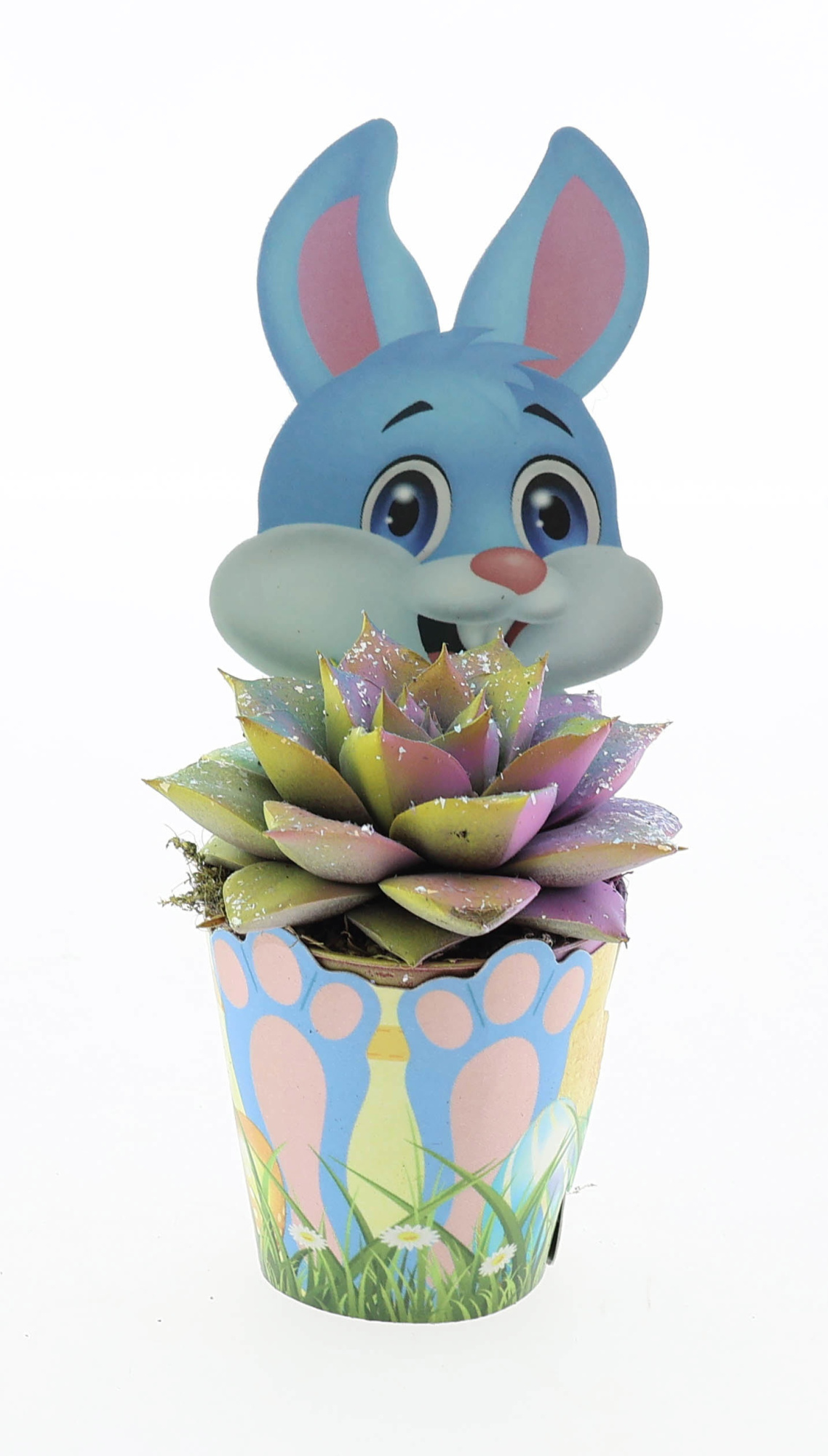 Potcover paashaas purper multi glitter, D 5,5