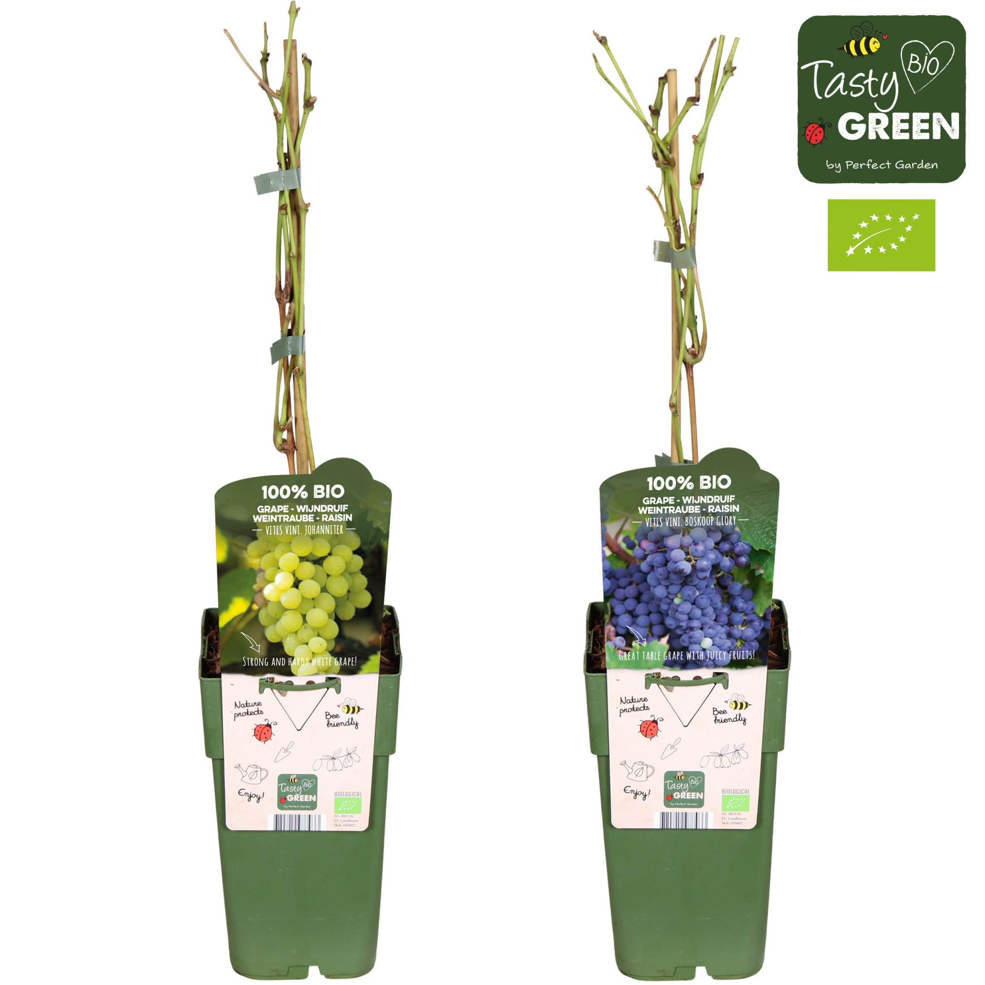 Vitis mix laag Bio P15, D 15