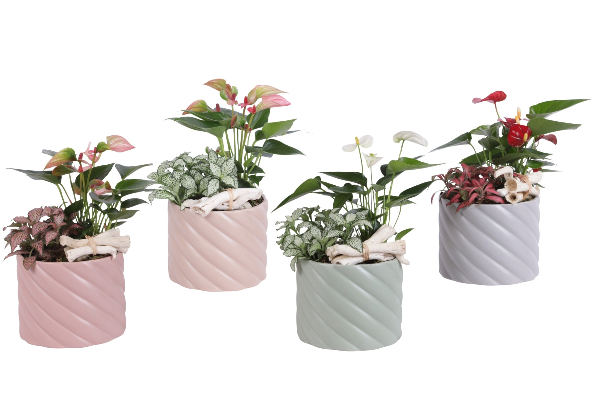 Yearround Arr. Indoor Ceramic Soft Elegance SE661 Ø14cm 2PP, D 14