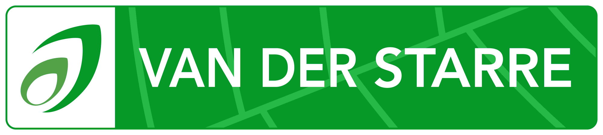 Rosa 'Candy Queen' +light label, D 15