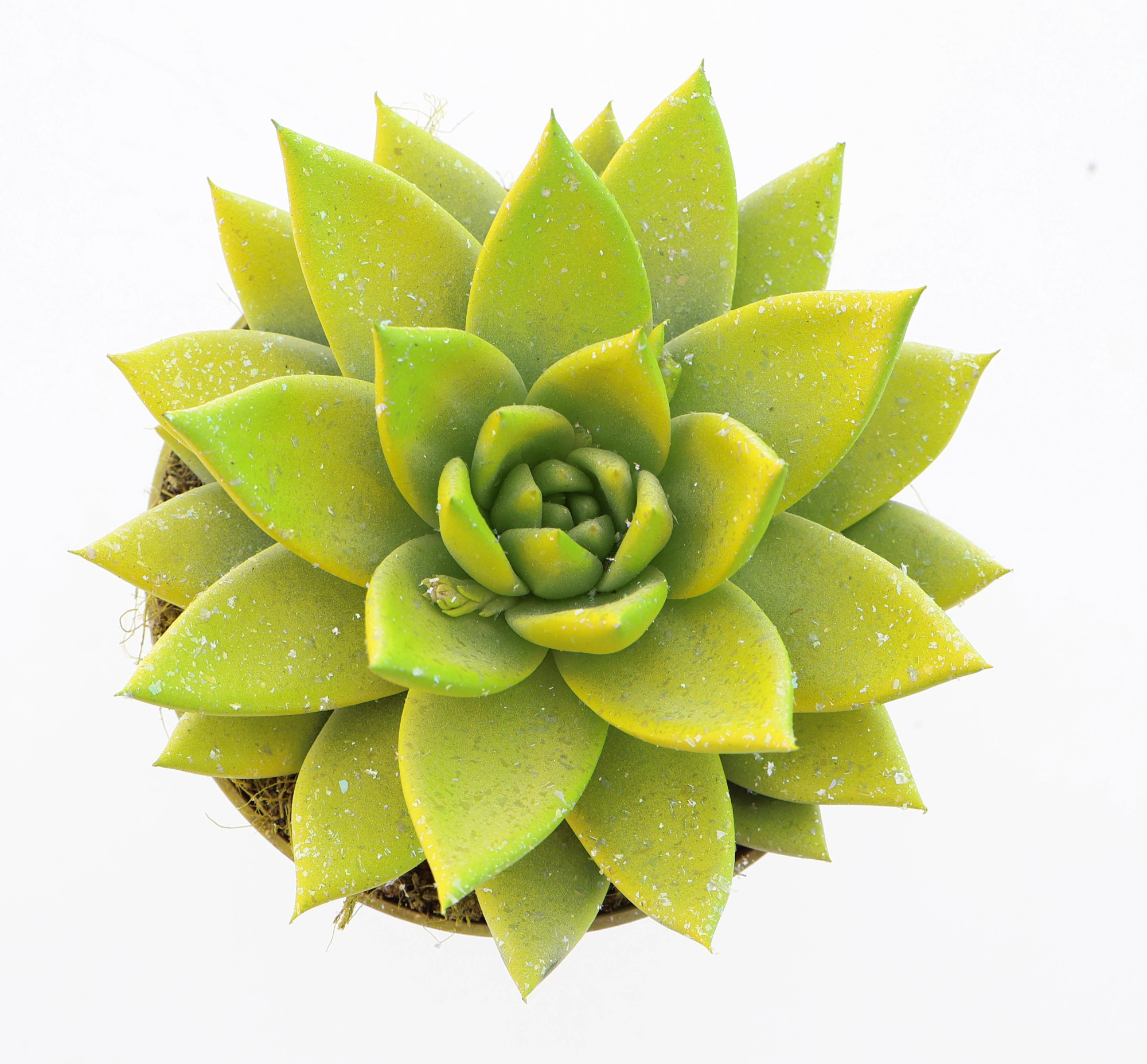 Miranda easter multi glittermix, D 10,5