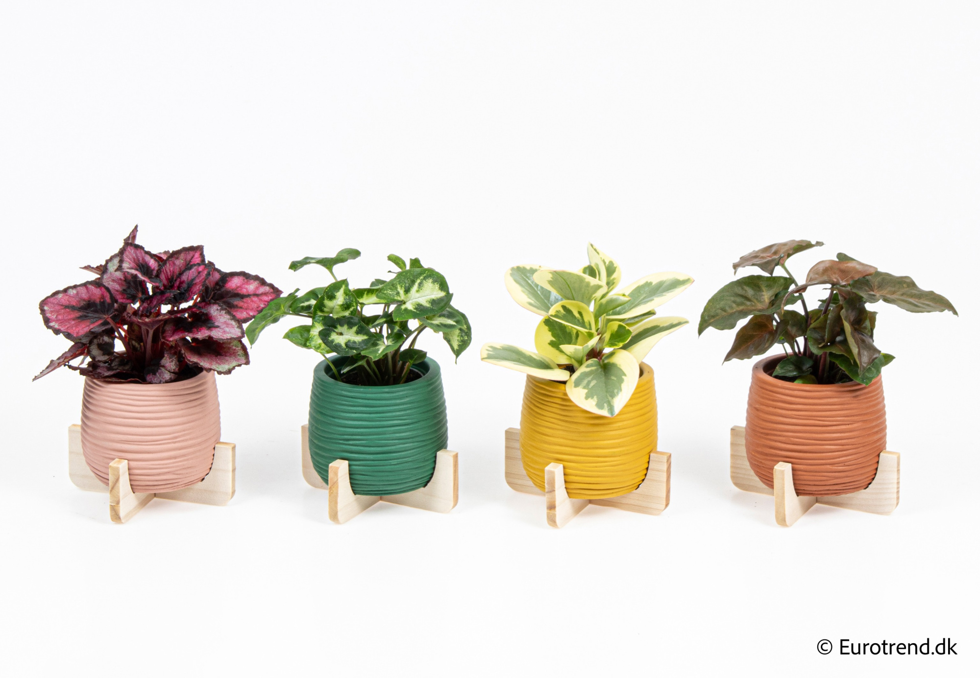 Green mix in New Look ceramic 2026, D 6